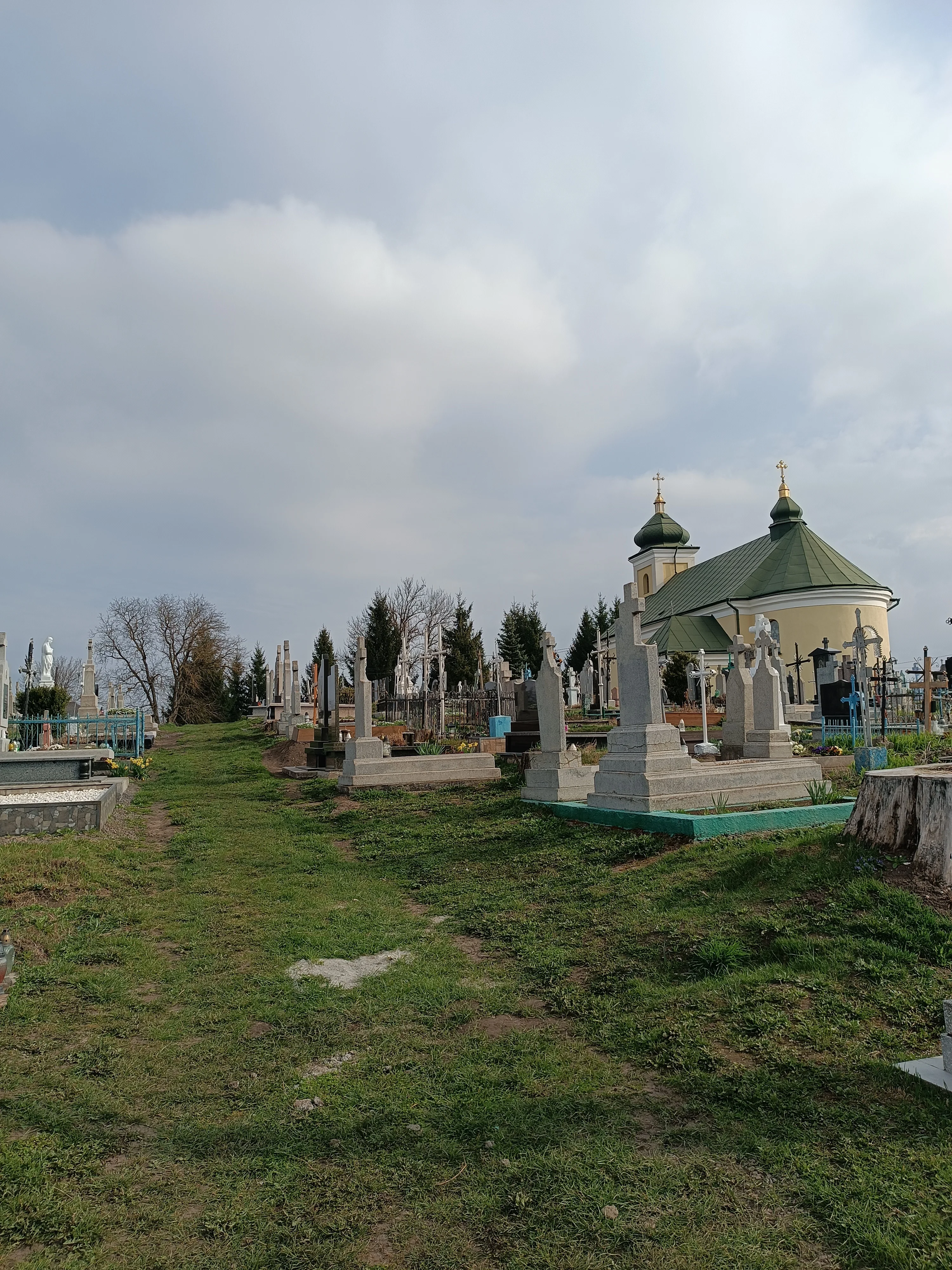 Цвинтар с. Добряни