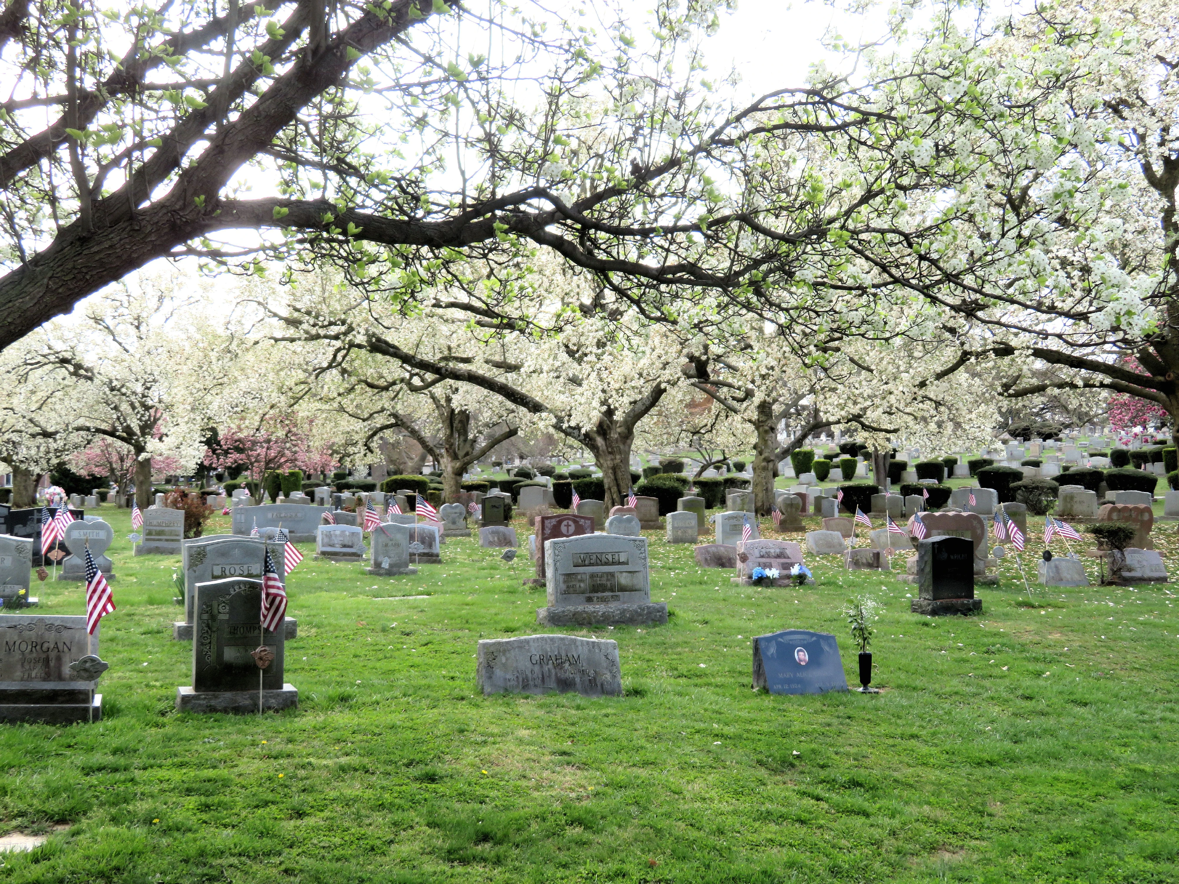 Chester Rural Cemetery