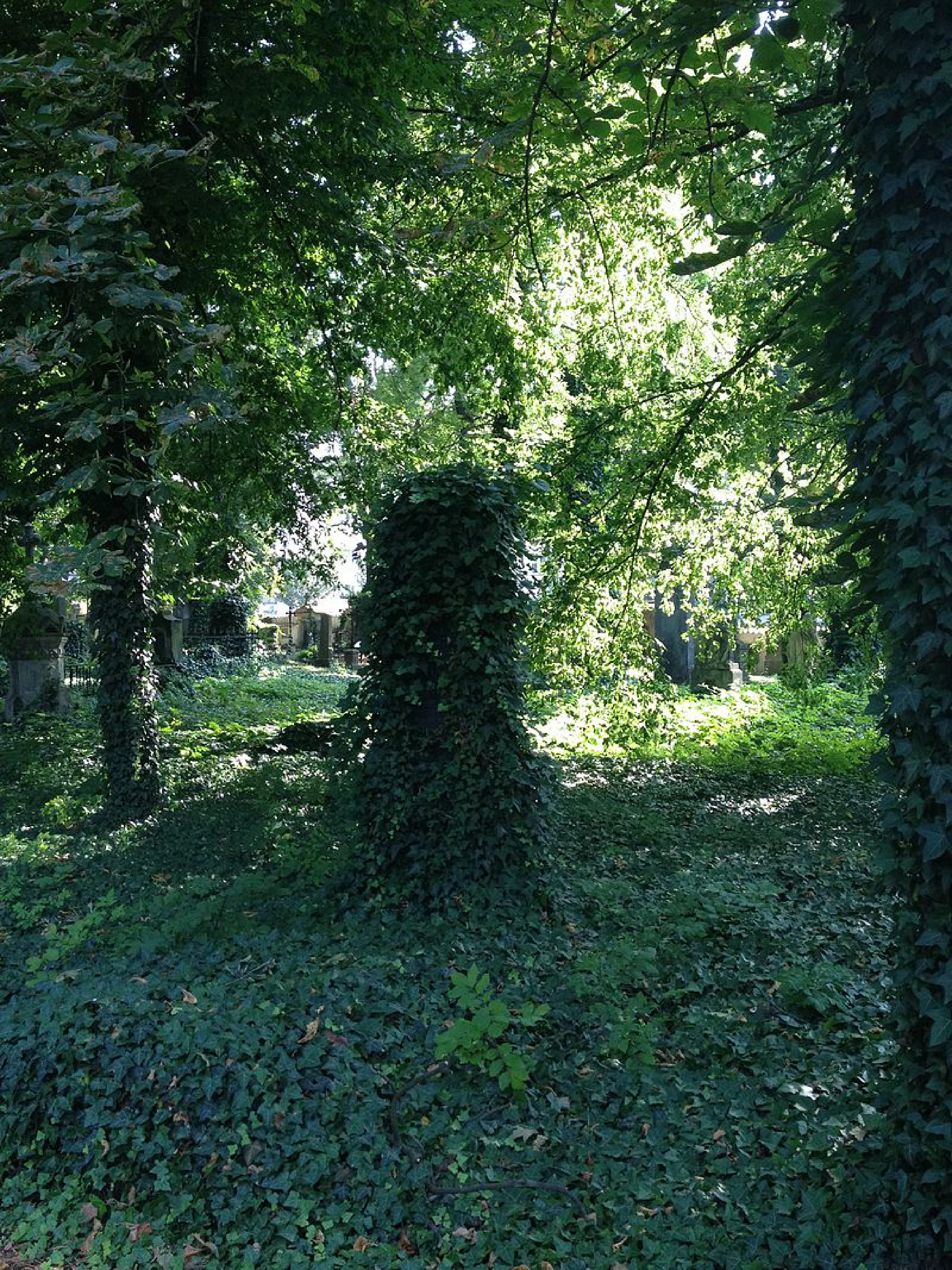 м. Прага, Ольшанське кладовище