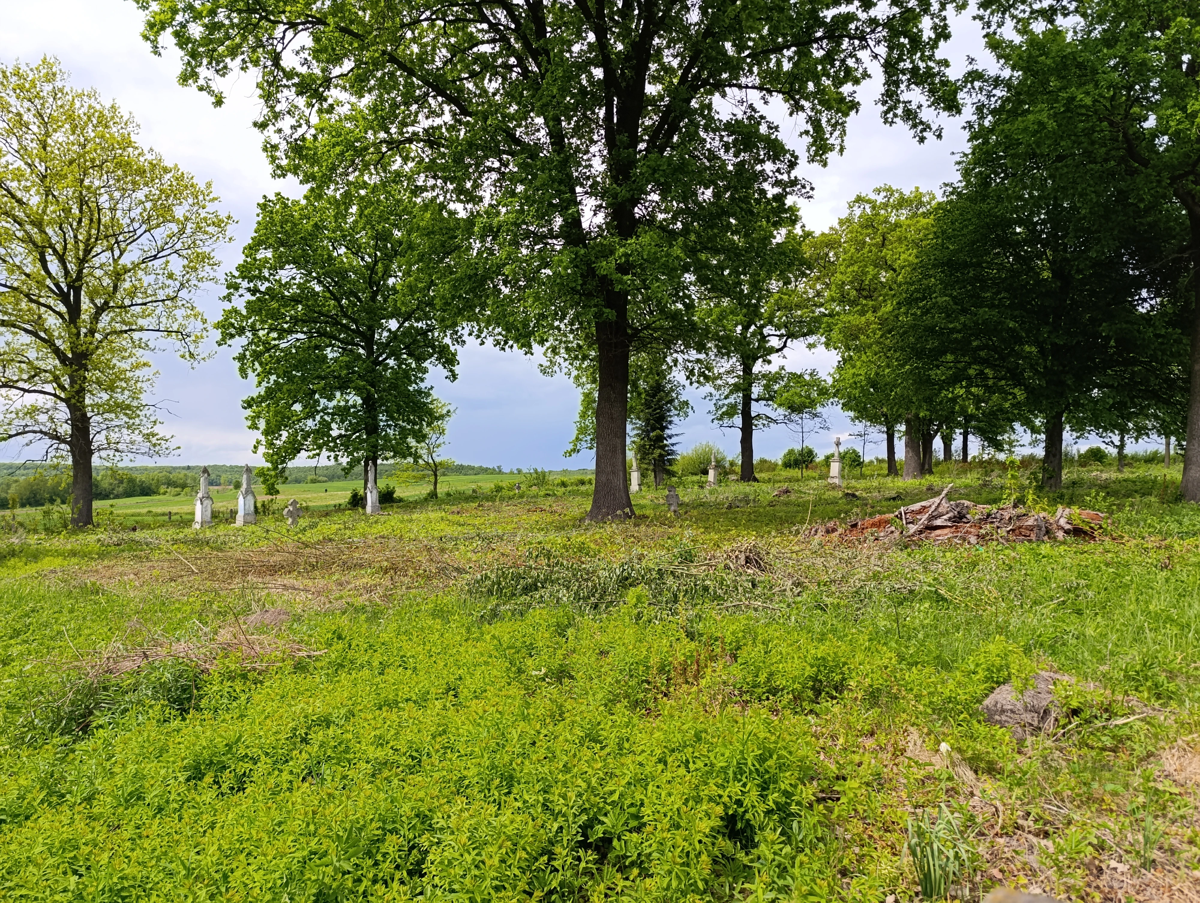 Кладовище, село Юшківці, Стрийський район, Львівська область