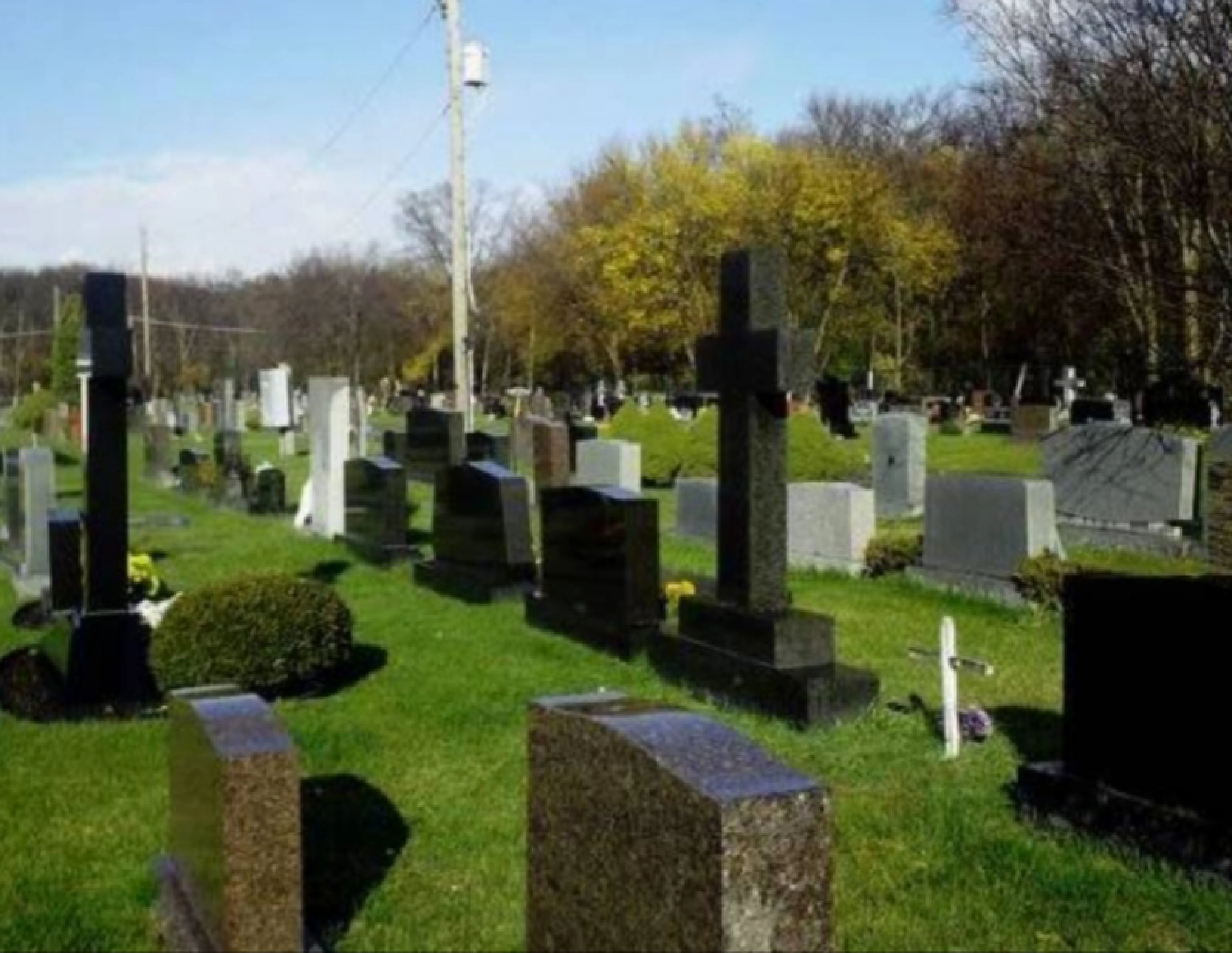 Saint Nicholas Ukrainian Cemetery - Chicago
