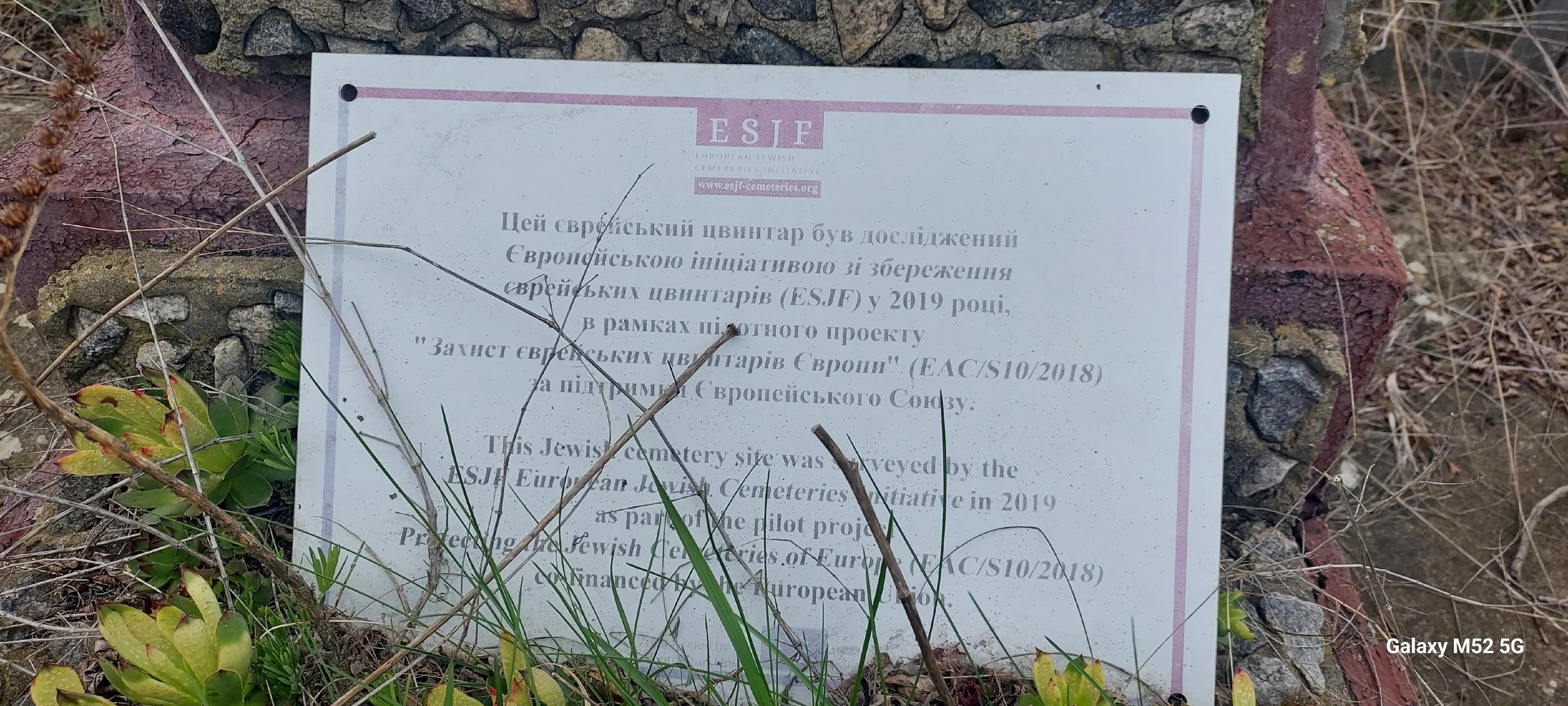 Єврейське в м-ку Куликове поле