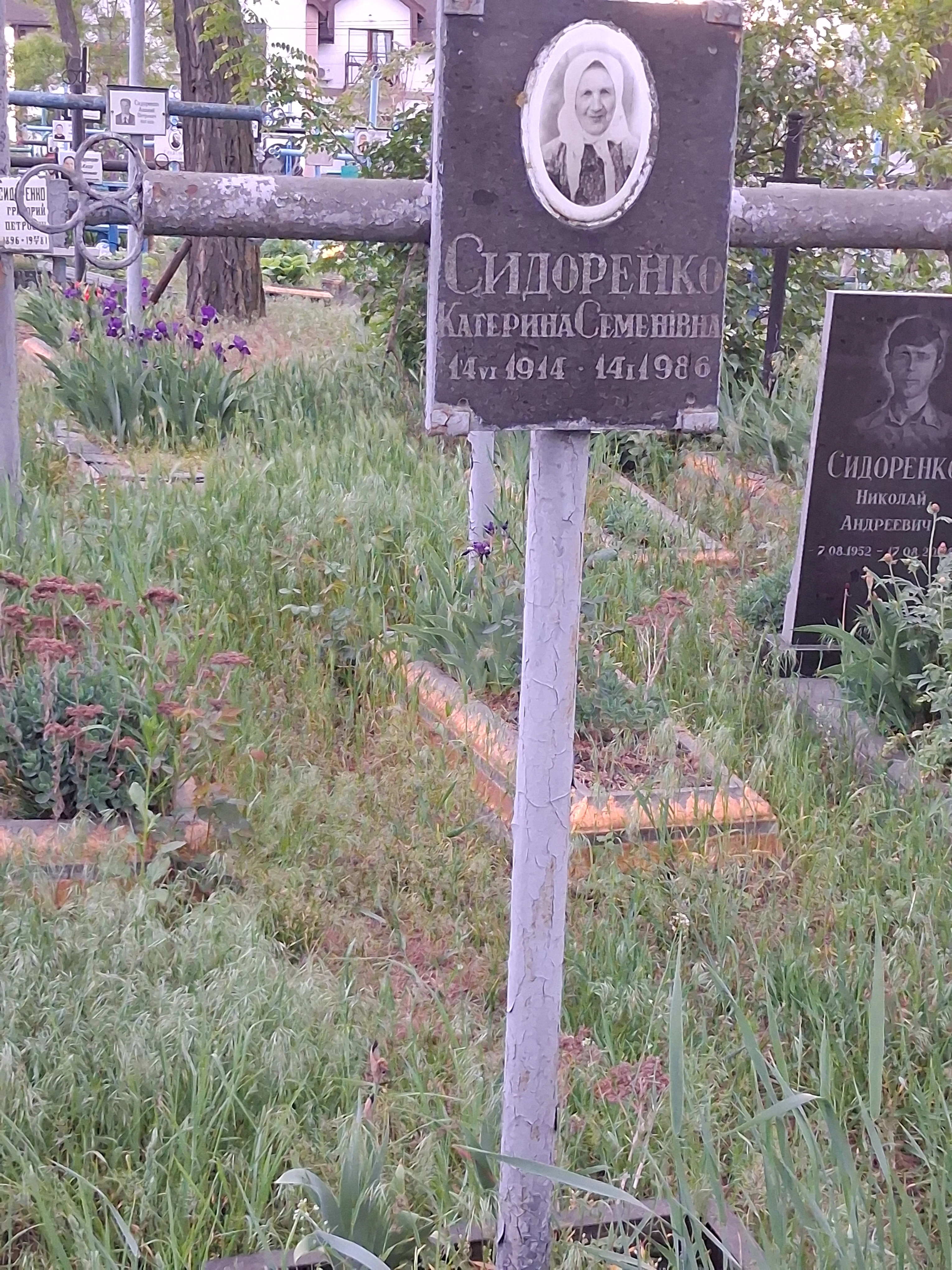 Memorial image