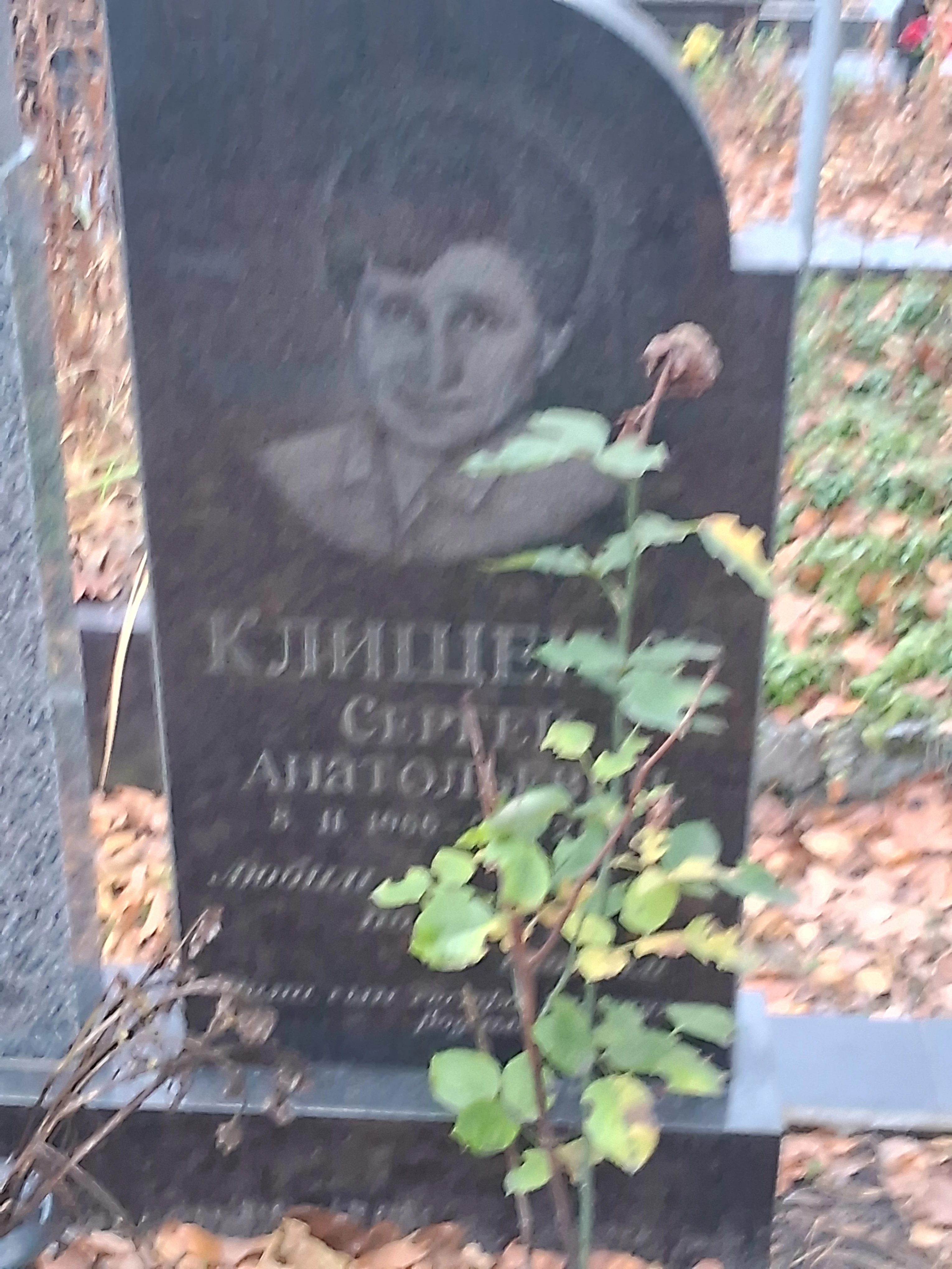 Memorial image