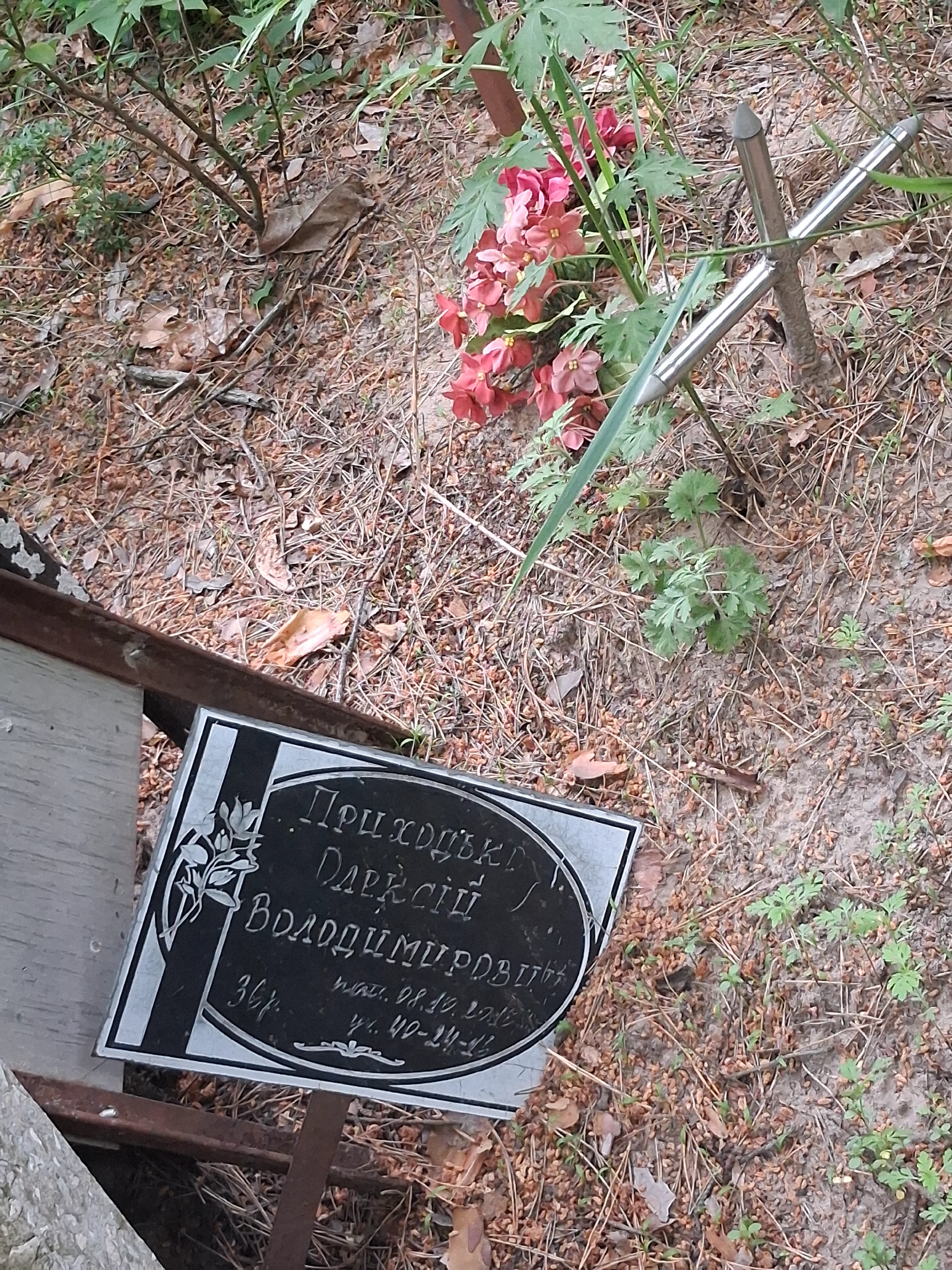Memorial image