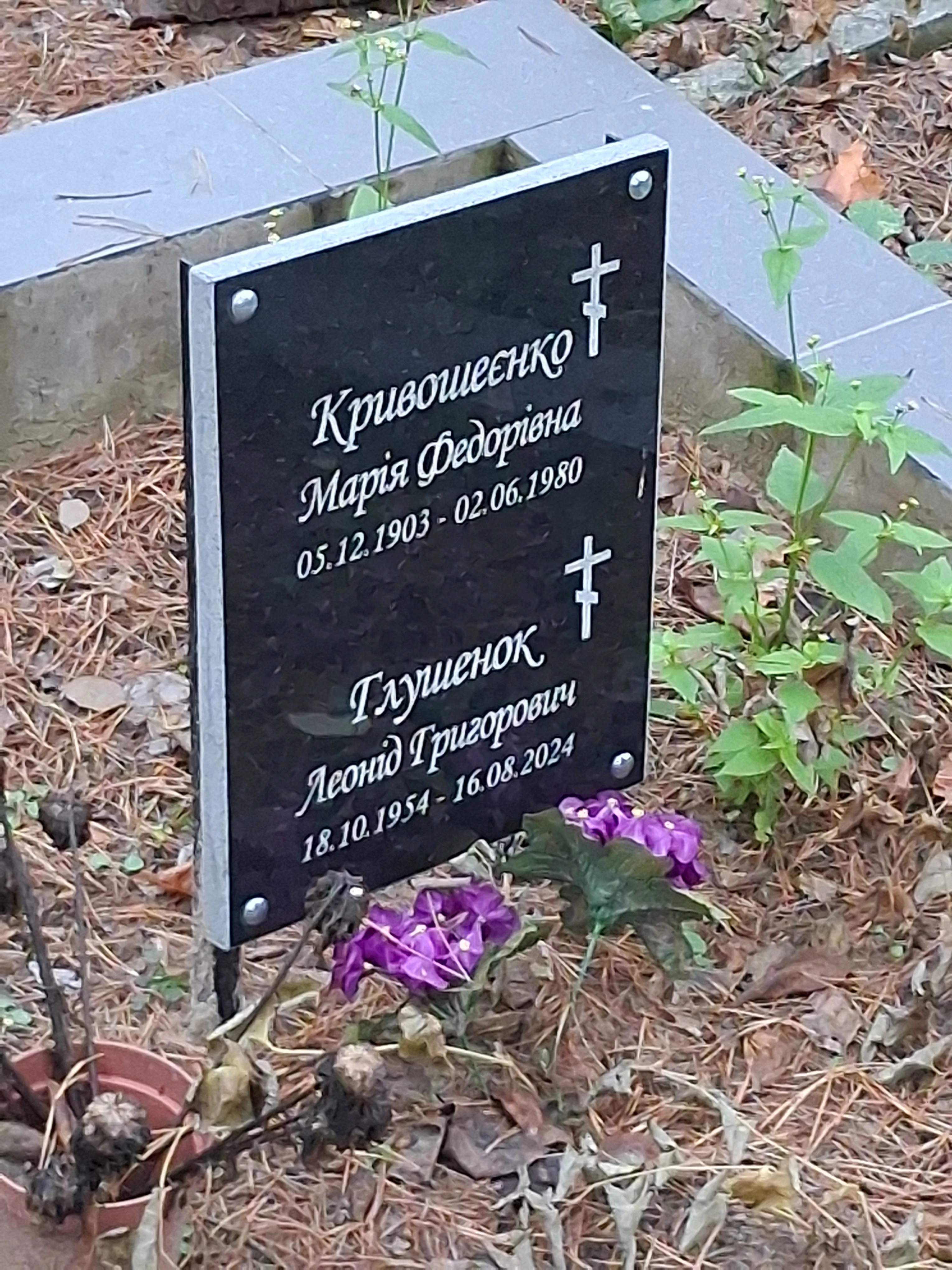 Memorial image
