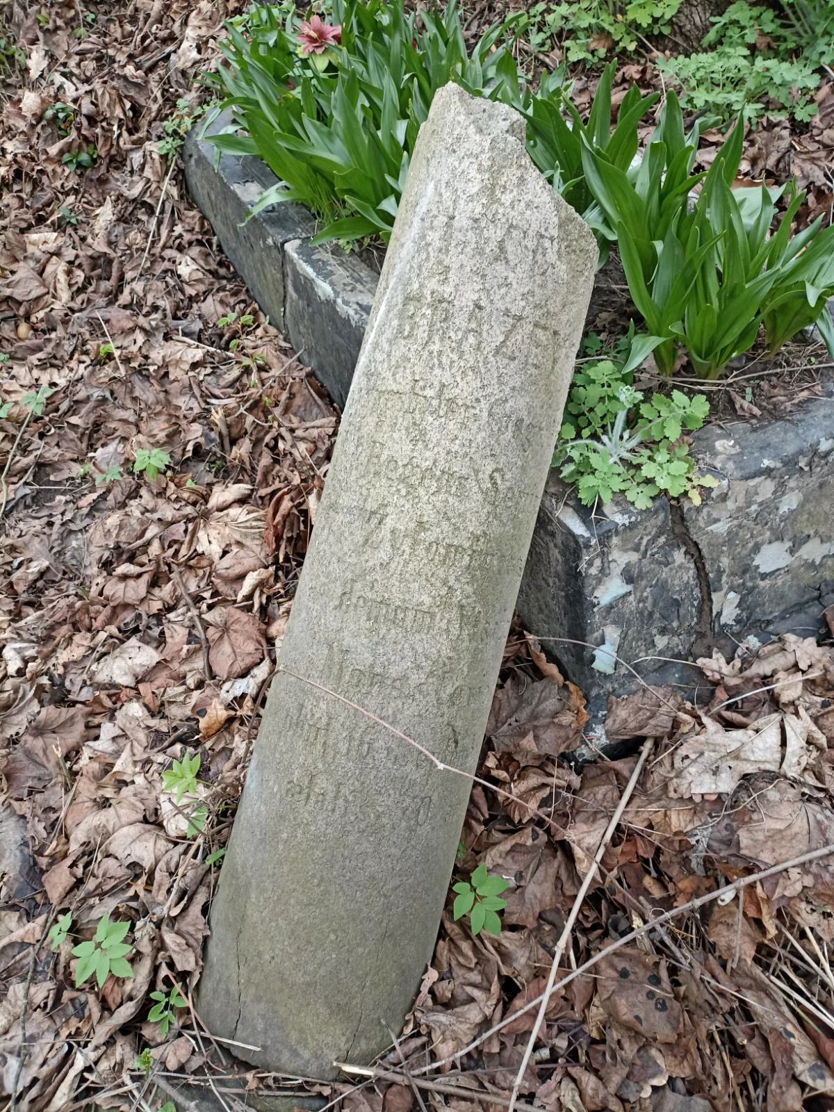 Memorial image