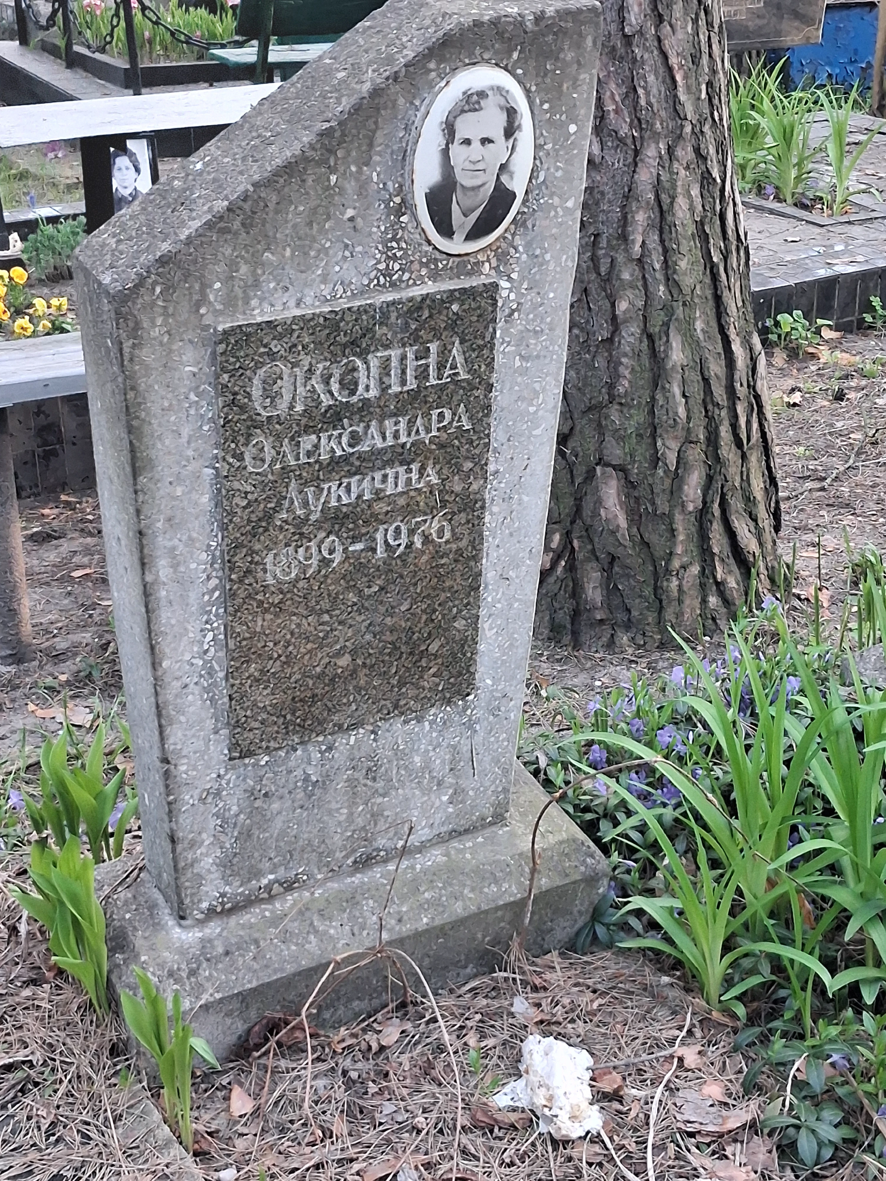 Memorial image