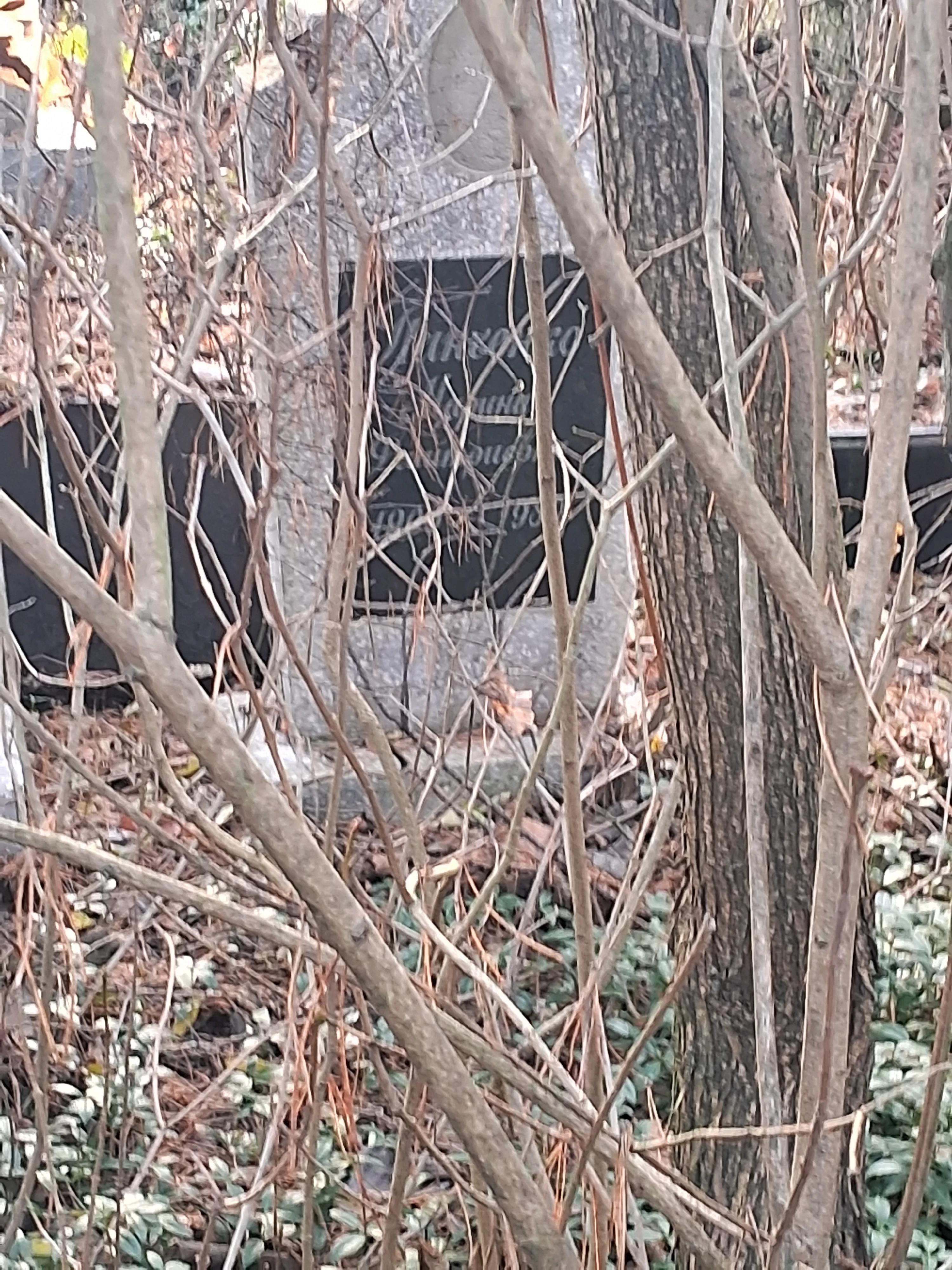 Memorial image