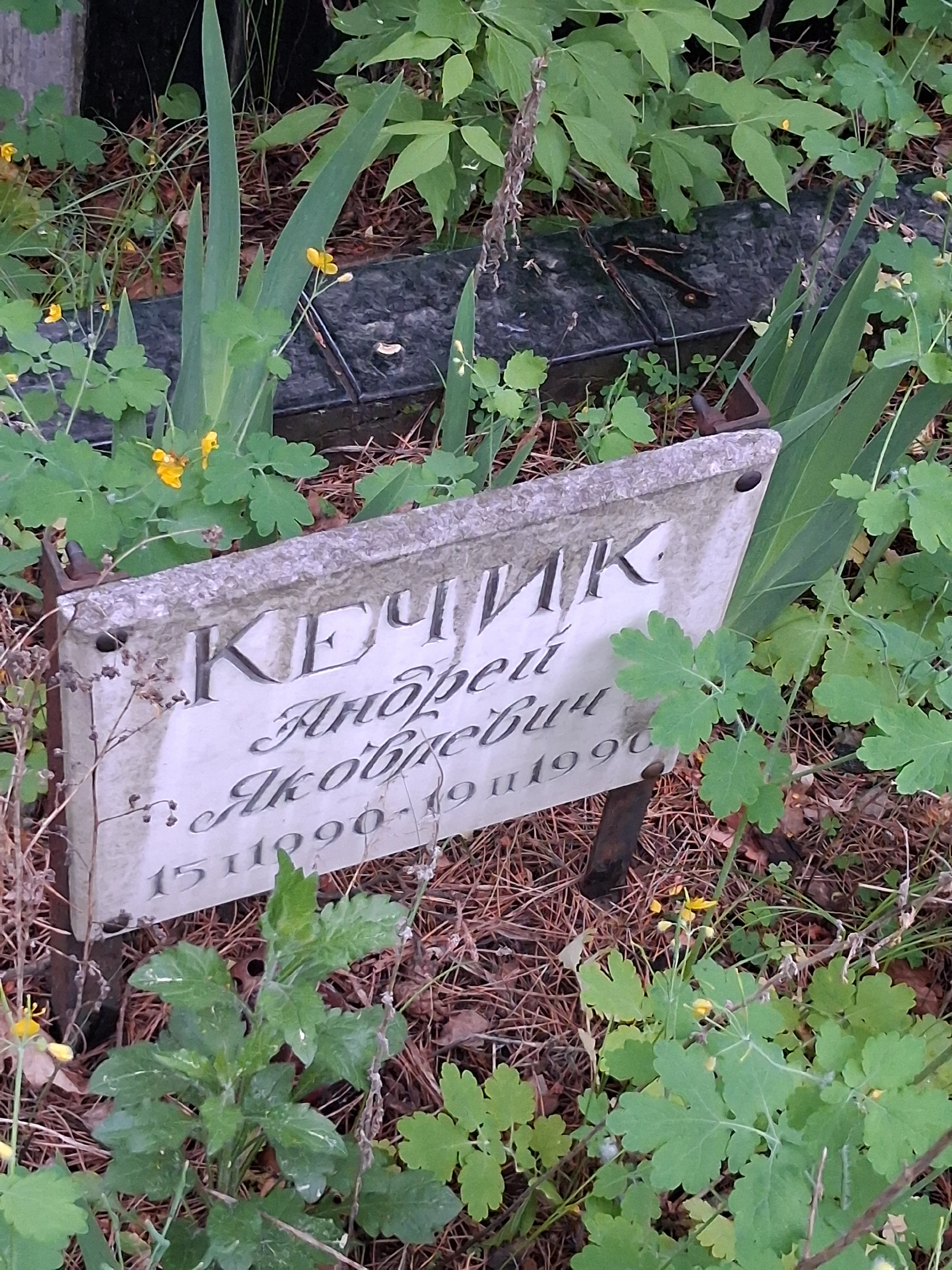 Memorial image