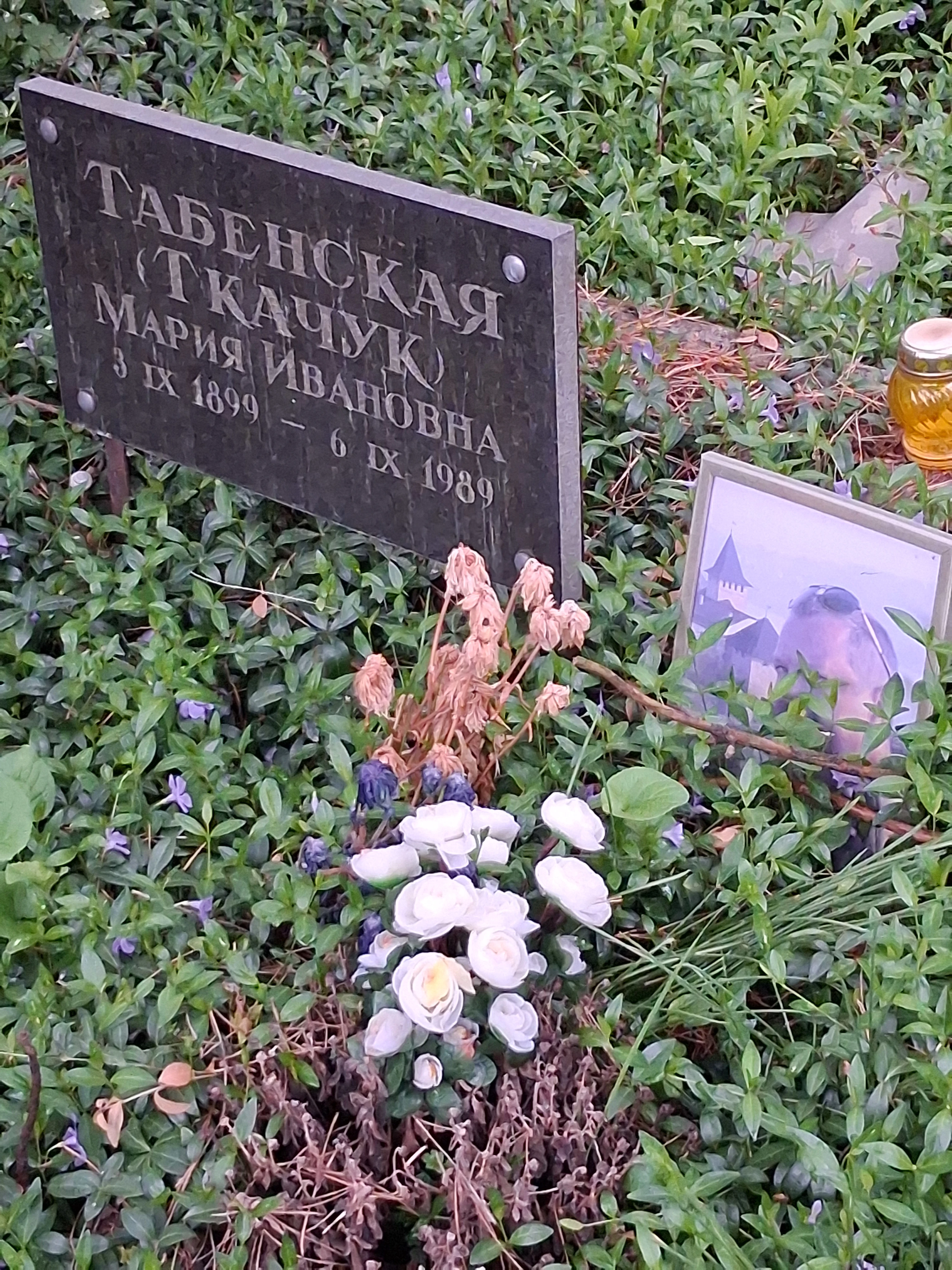 Memorial image