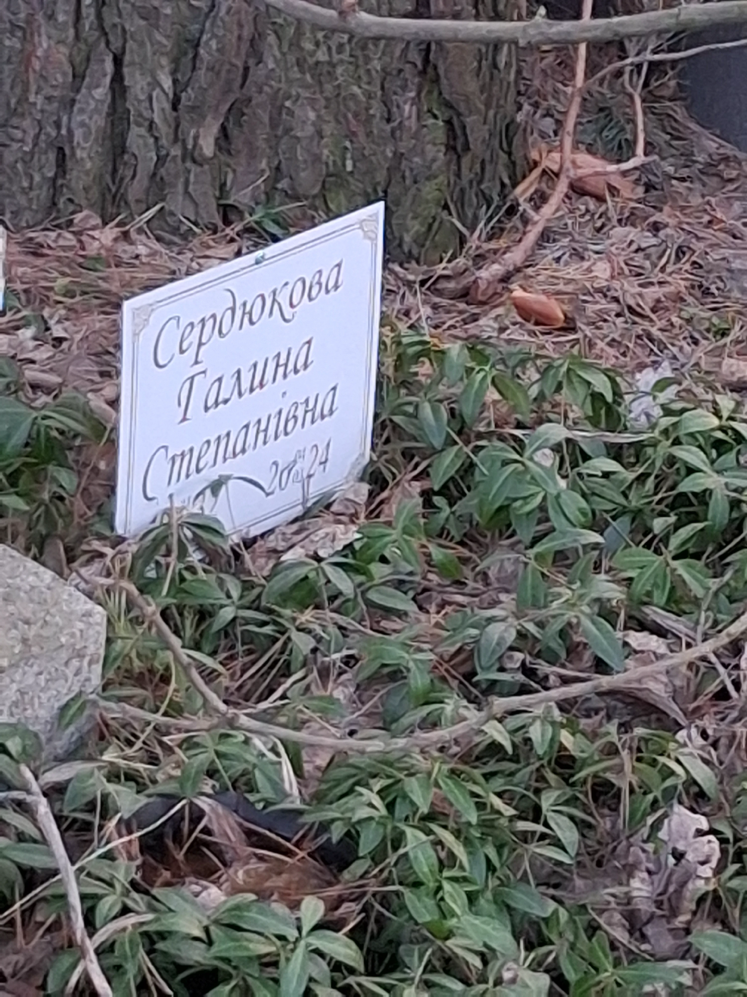Memorial image