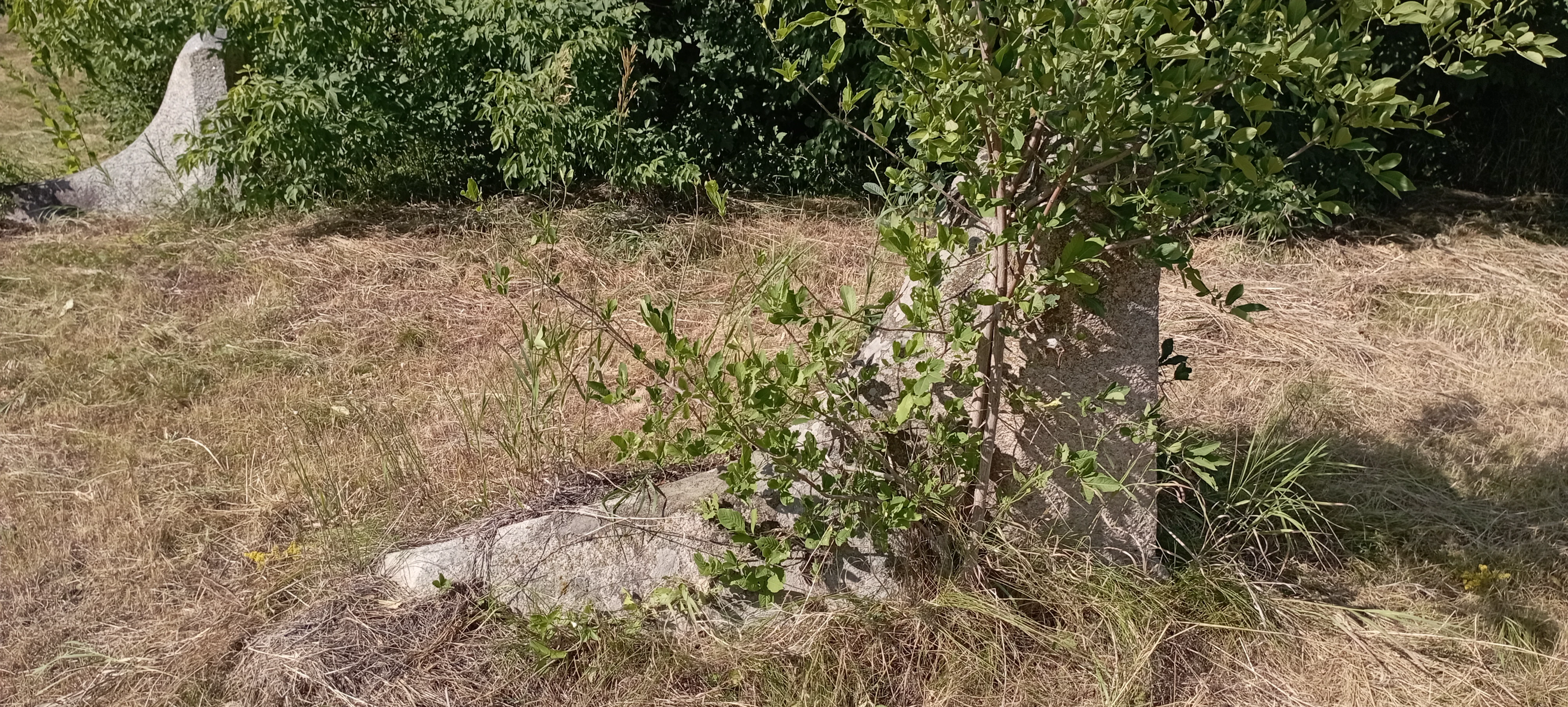 Memorial image