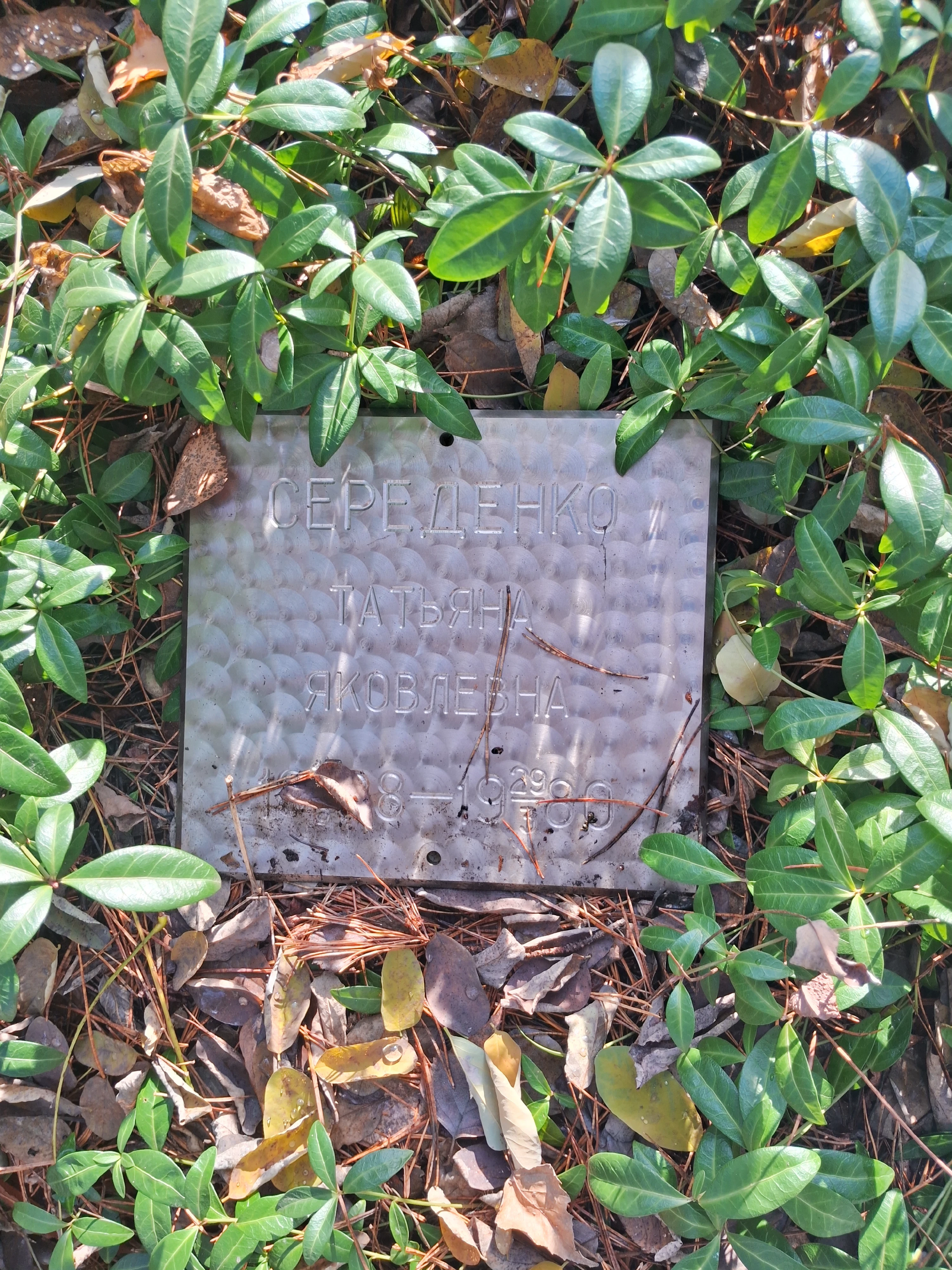 Memorial image