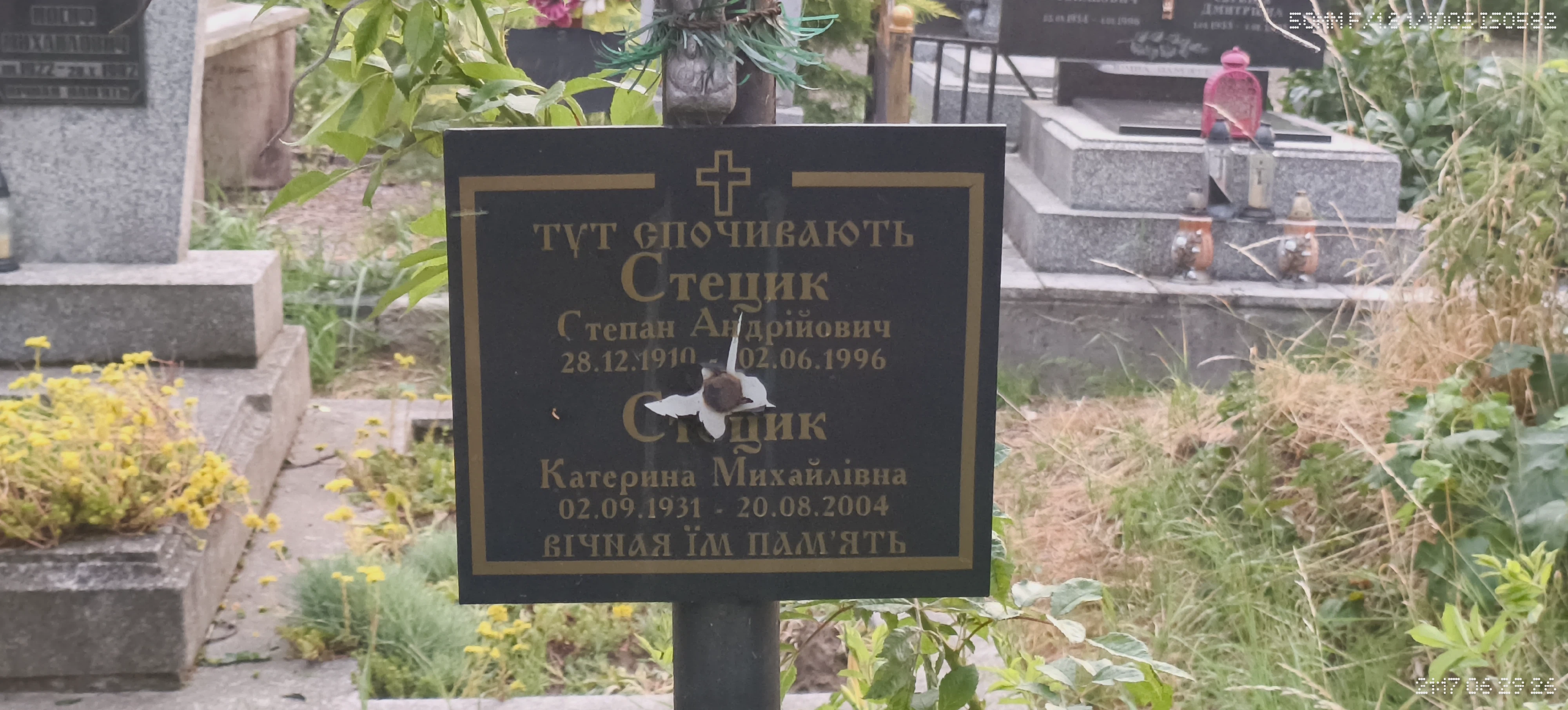 Memorial image