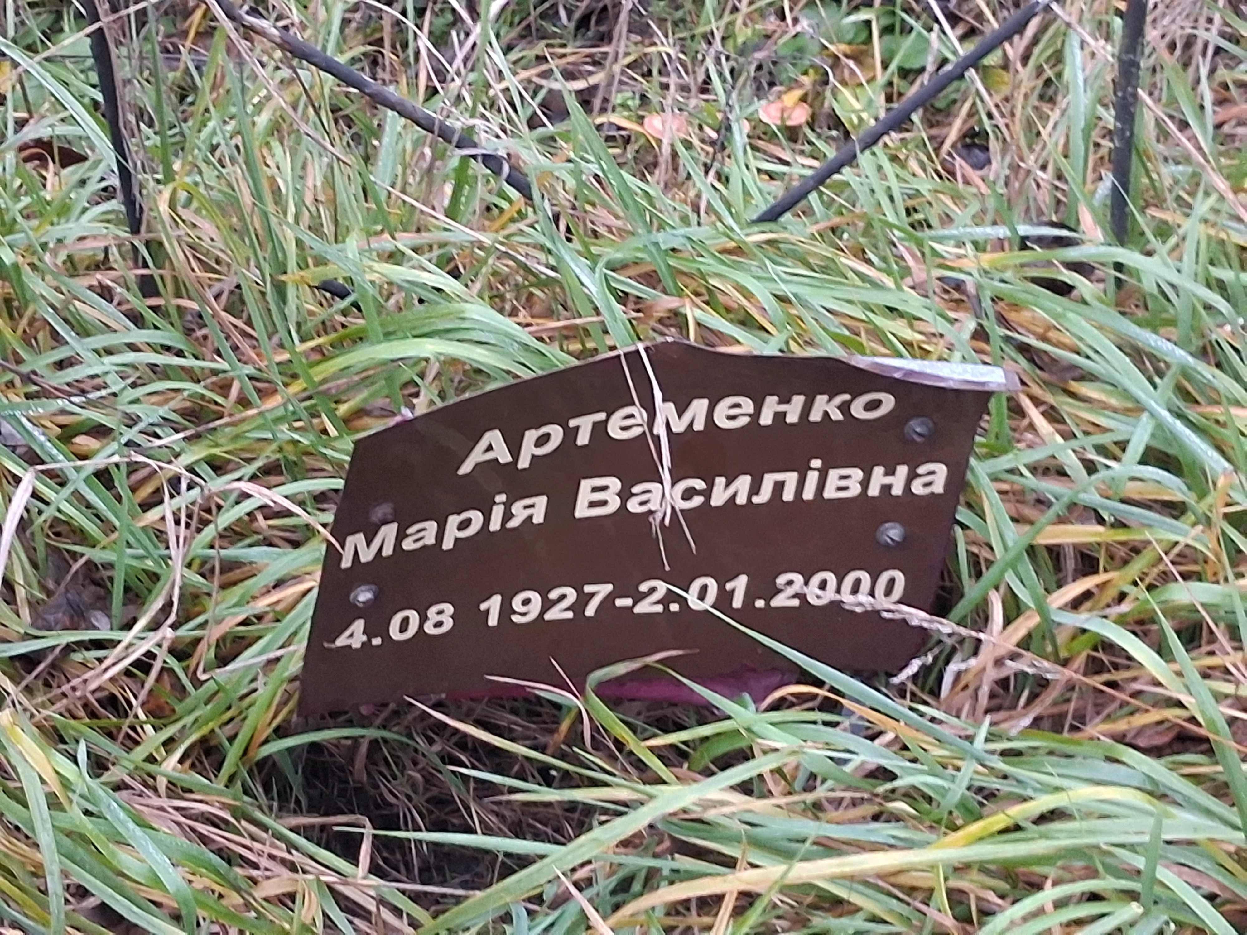 Memorial image