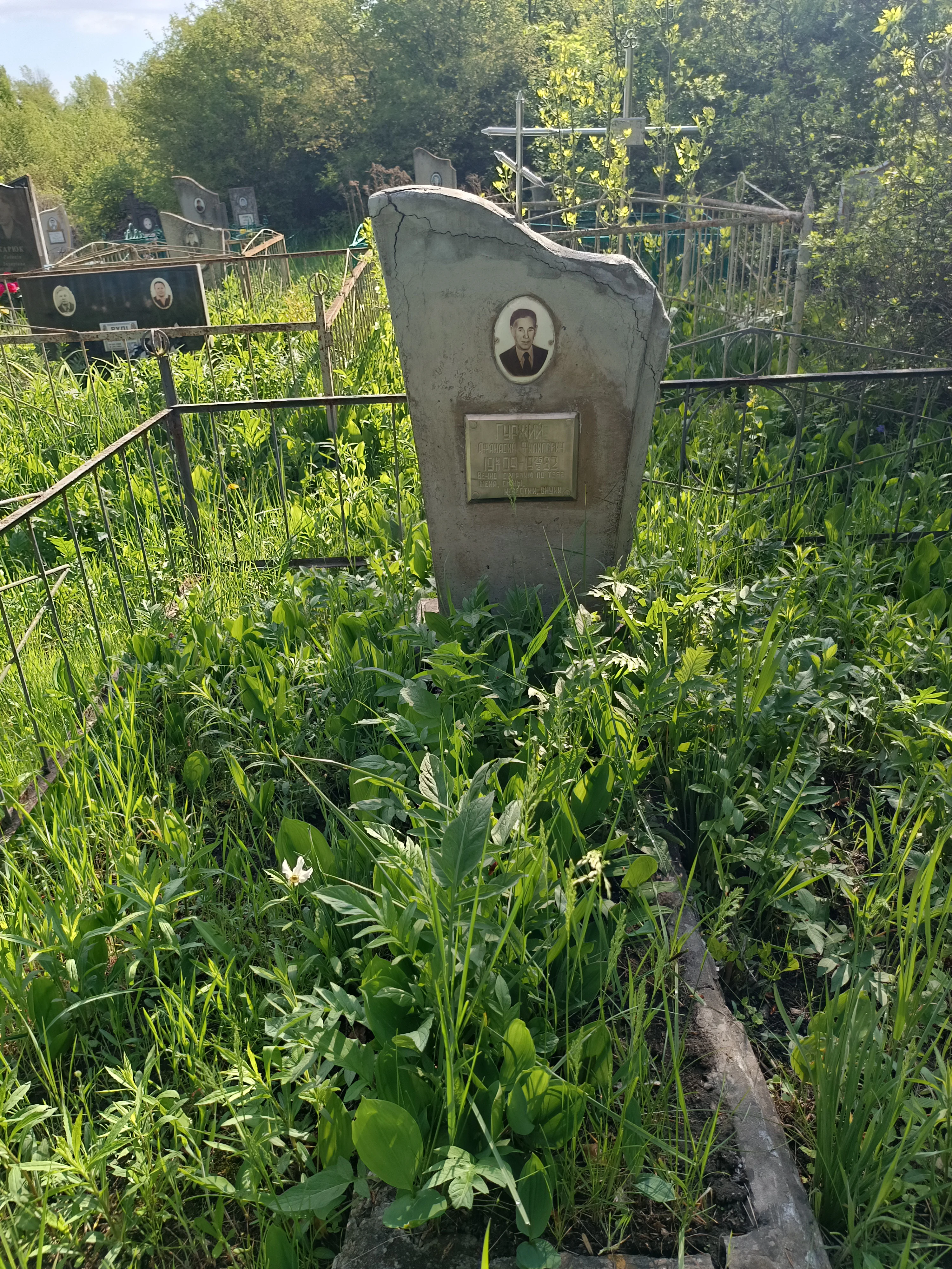 Memorial image