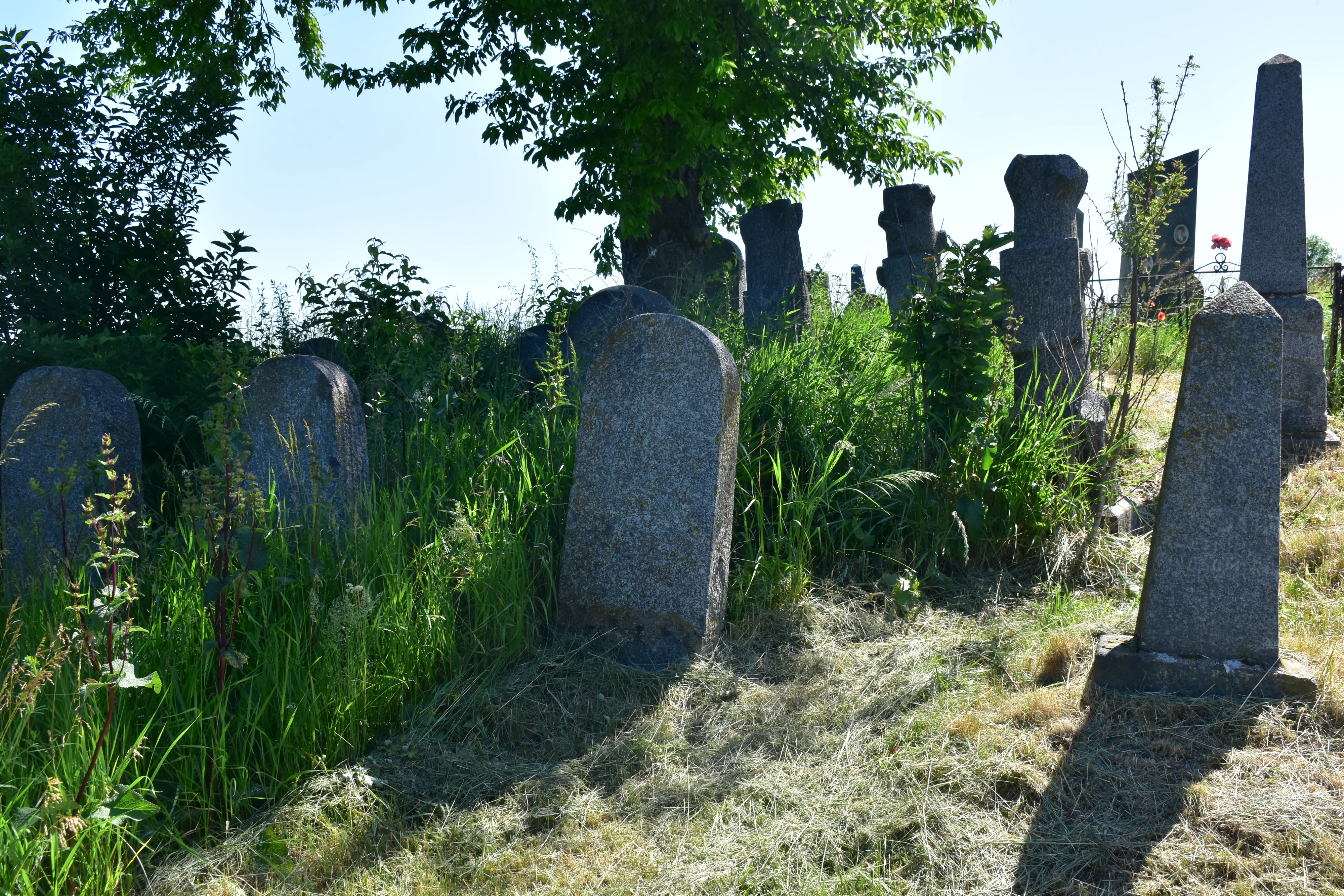 Memorial image