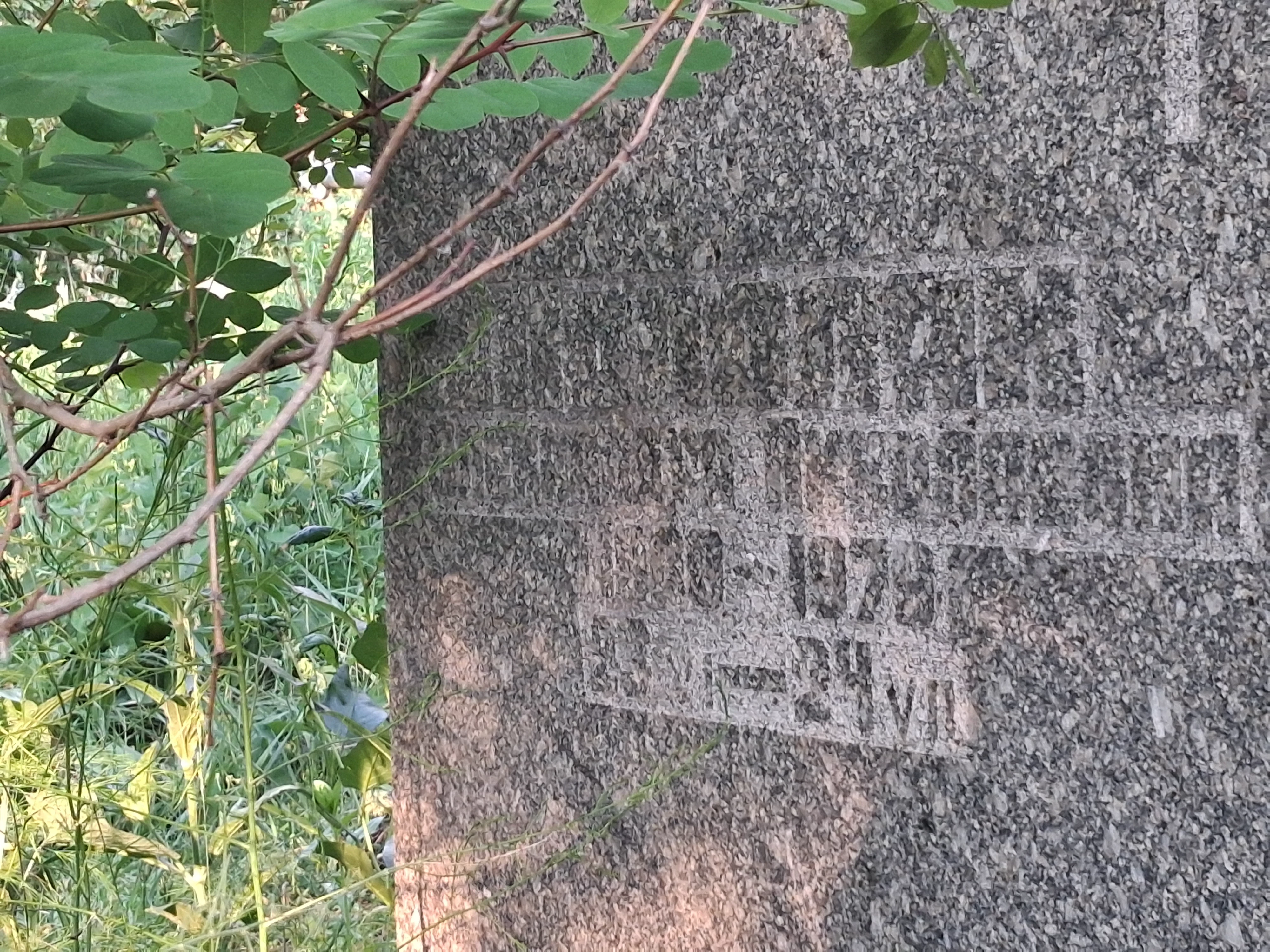 Memorial image