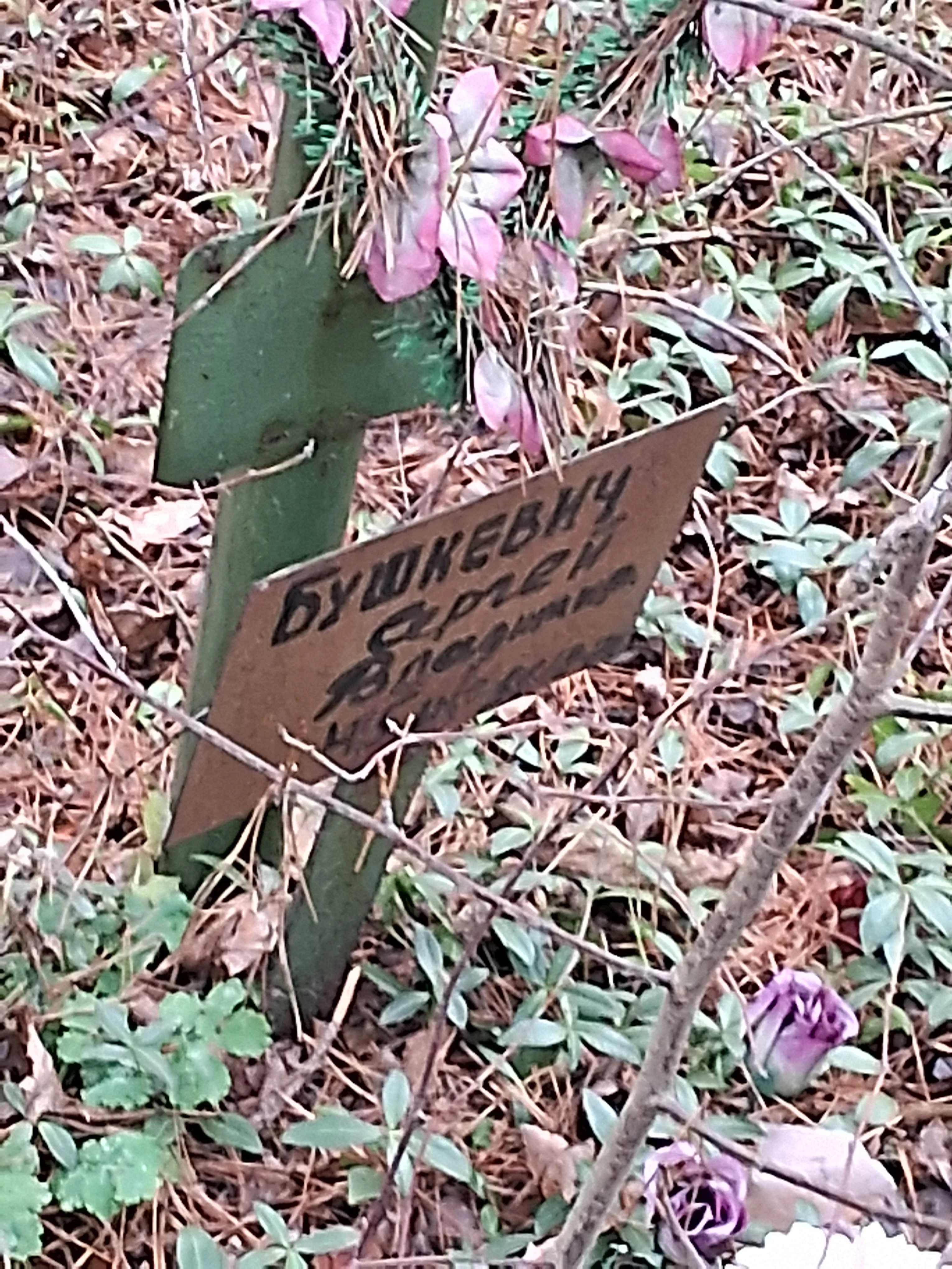 Memorial image