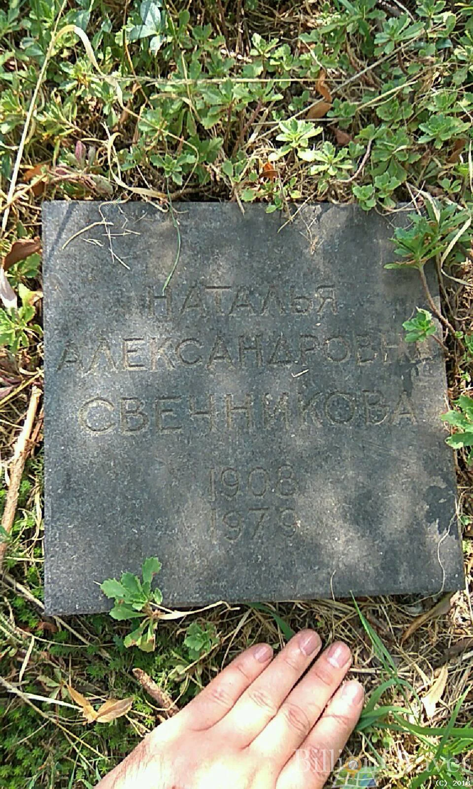 Memorial image