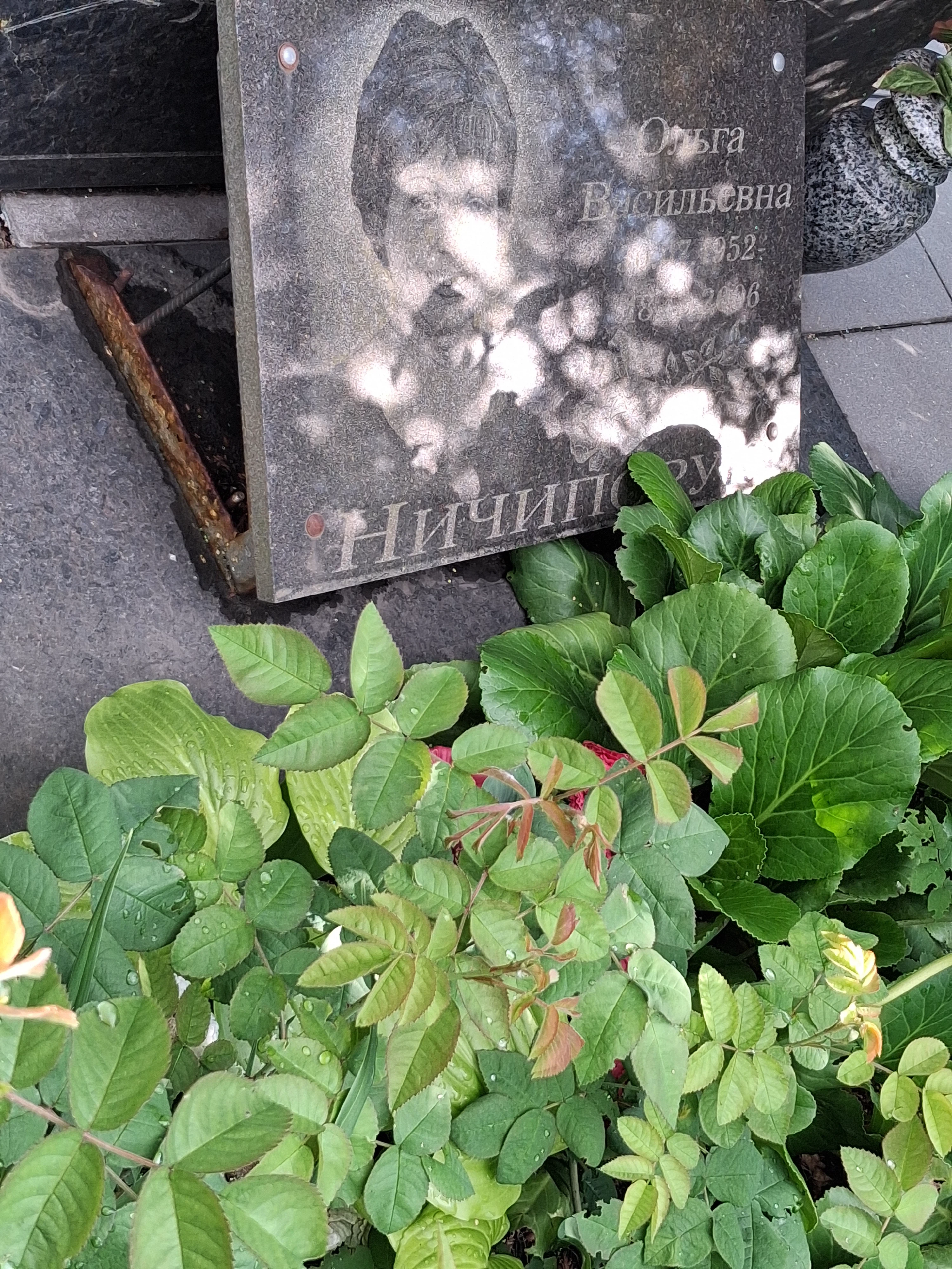 Memorial image