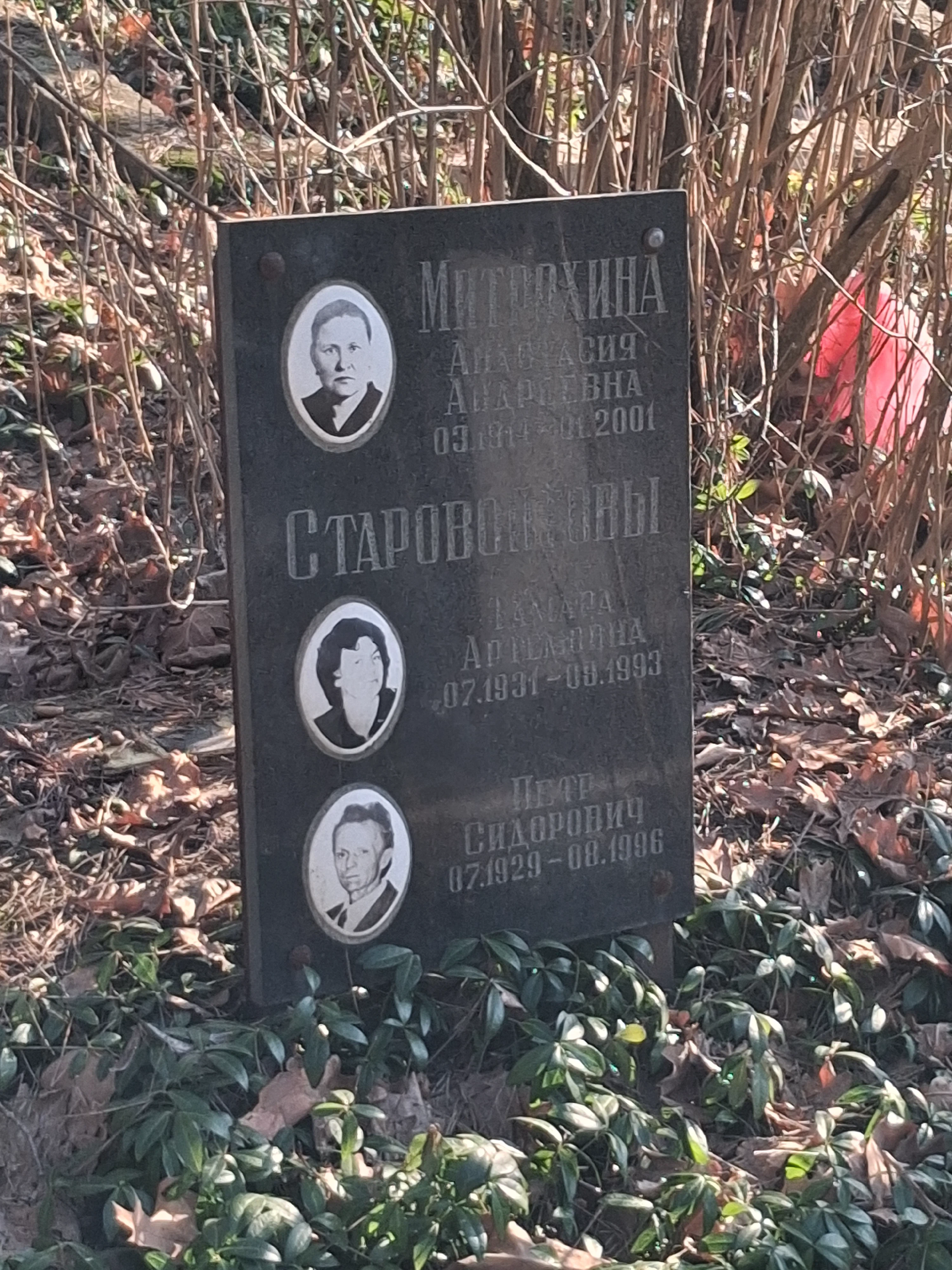 Memorial image