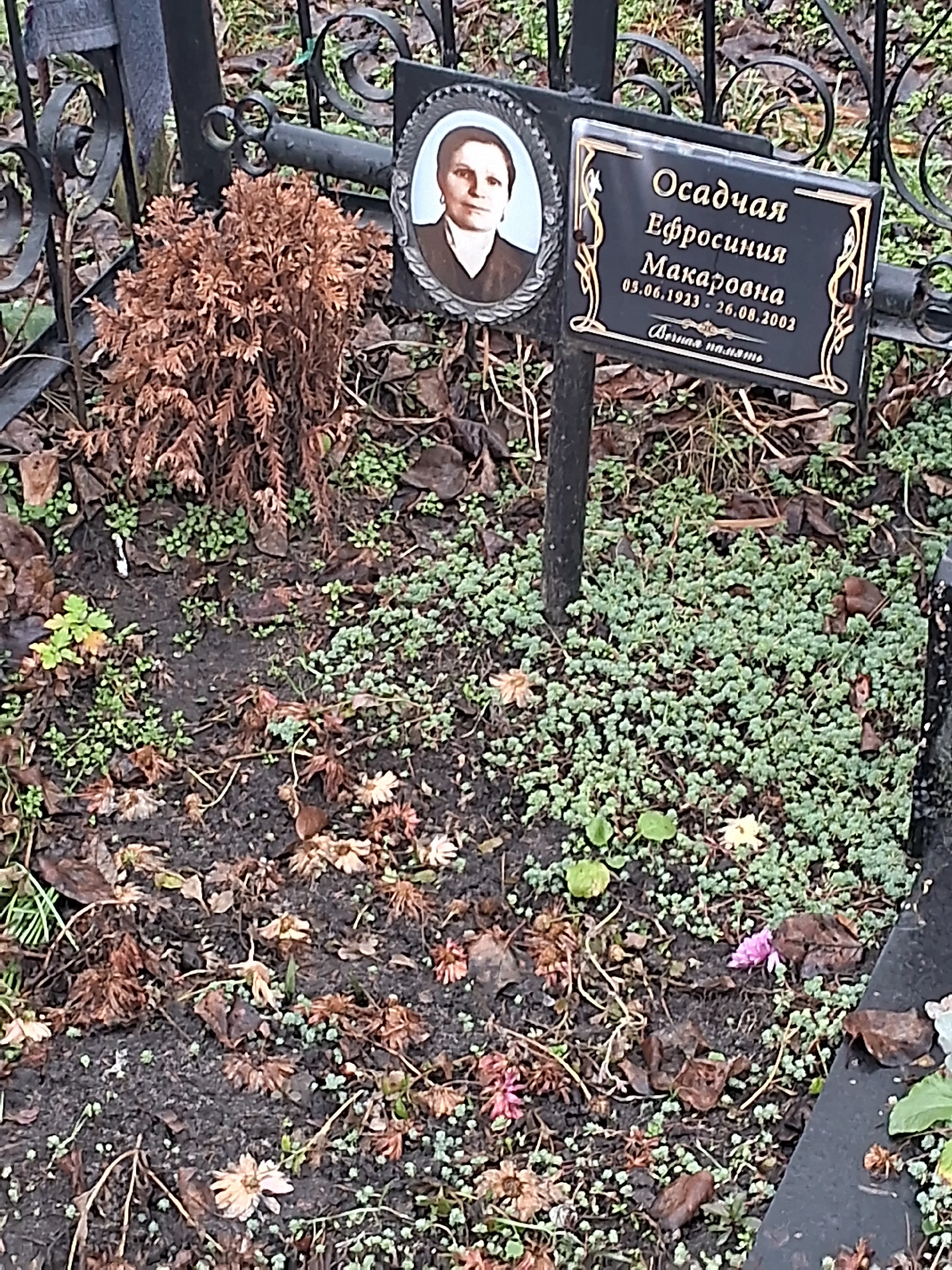Memorial image
