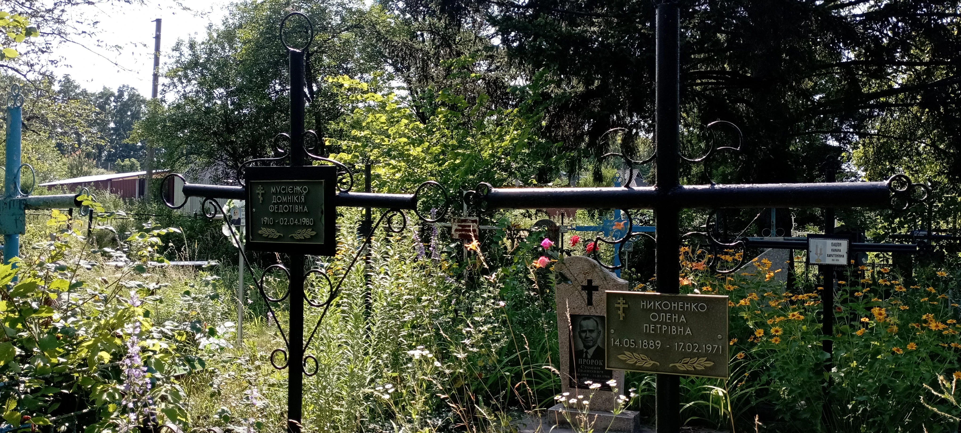 Memorial image