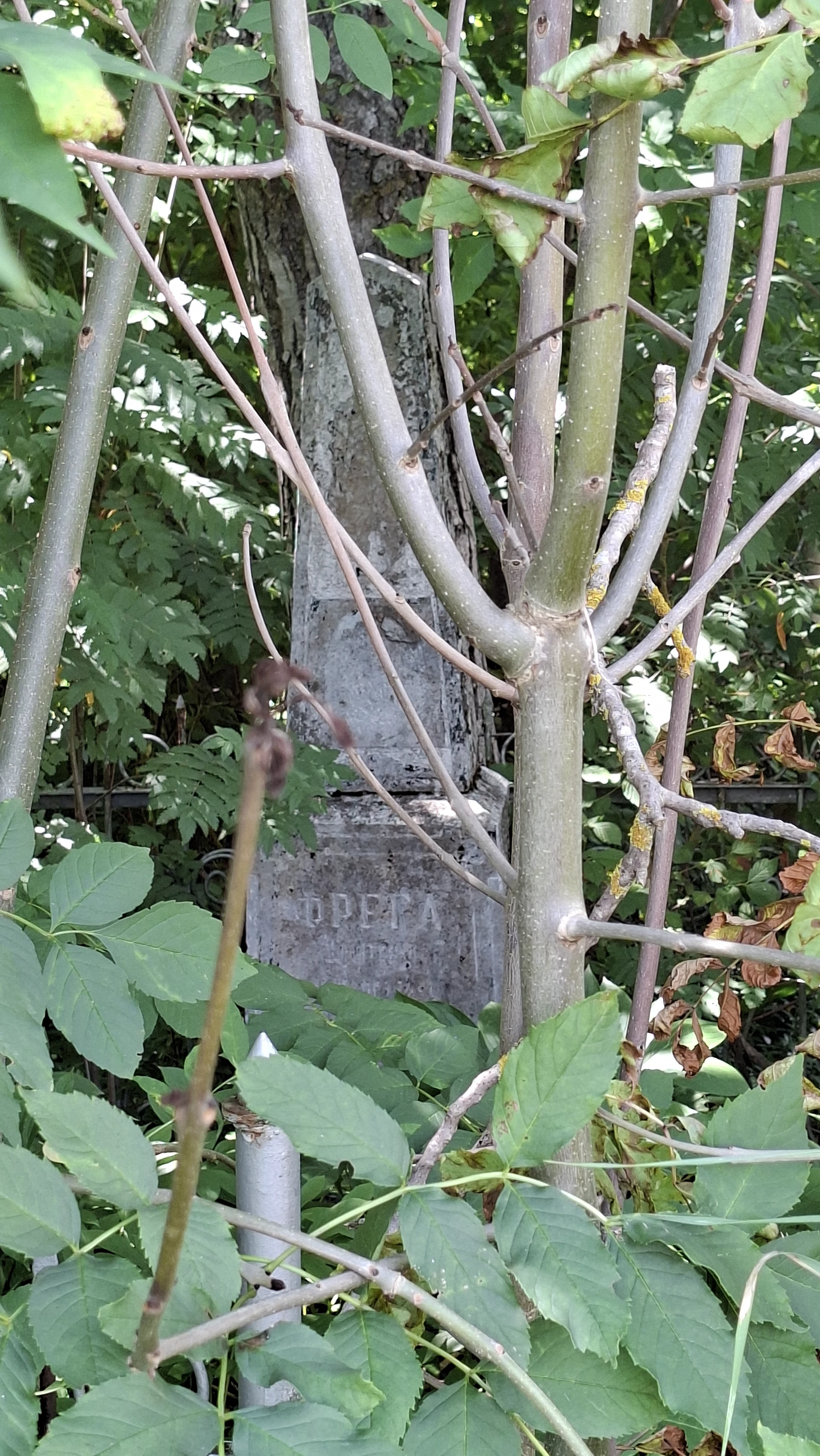 Memorial image