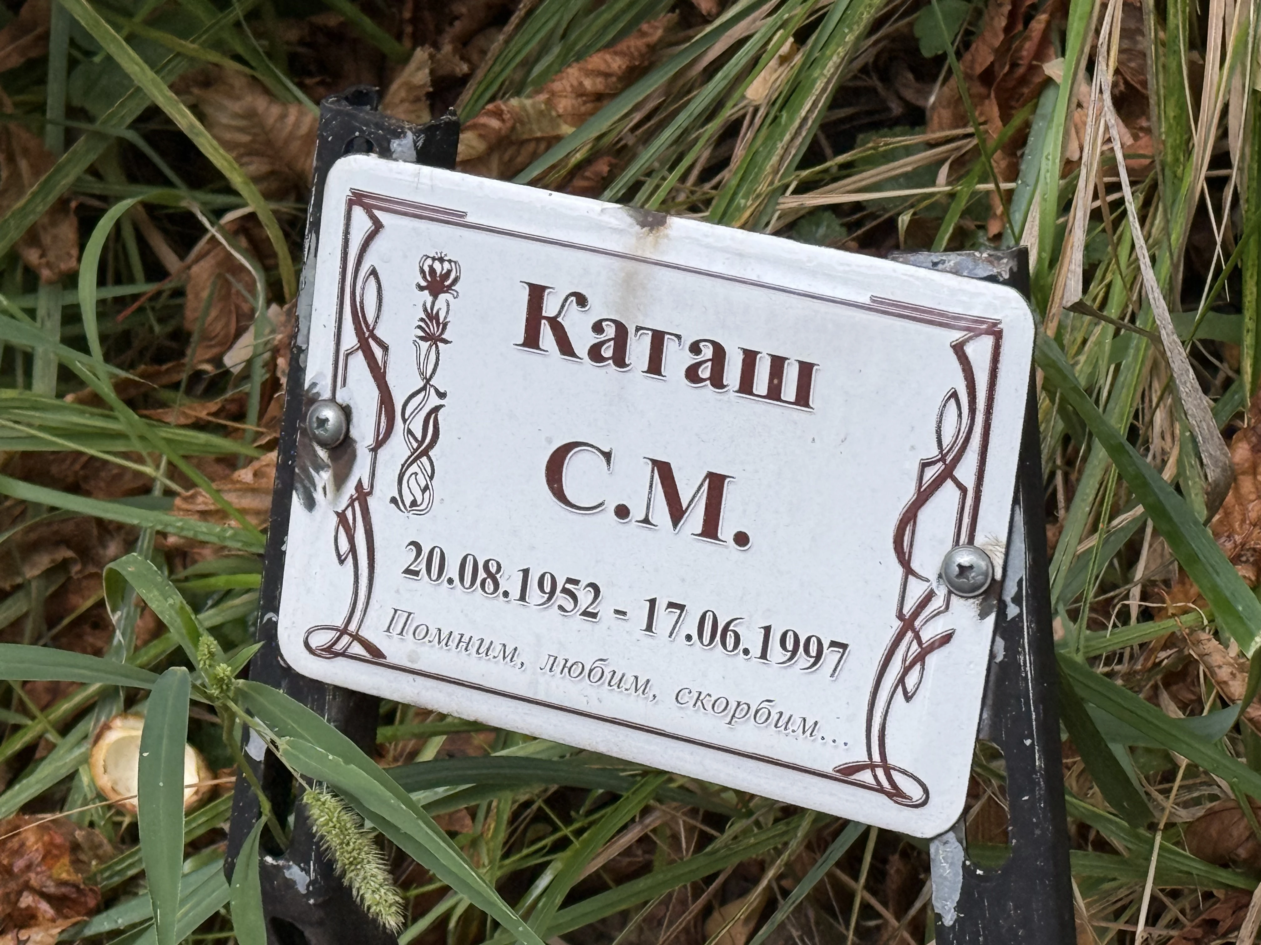 Memorial image