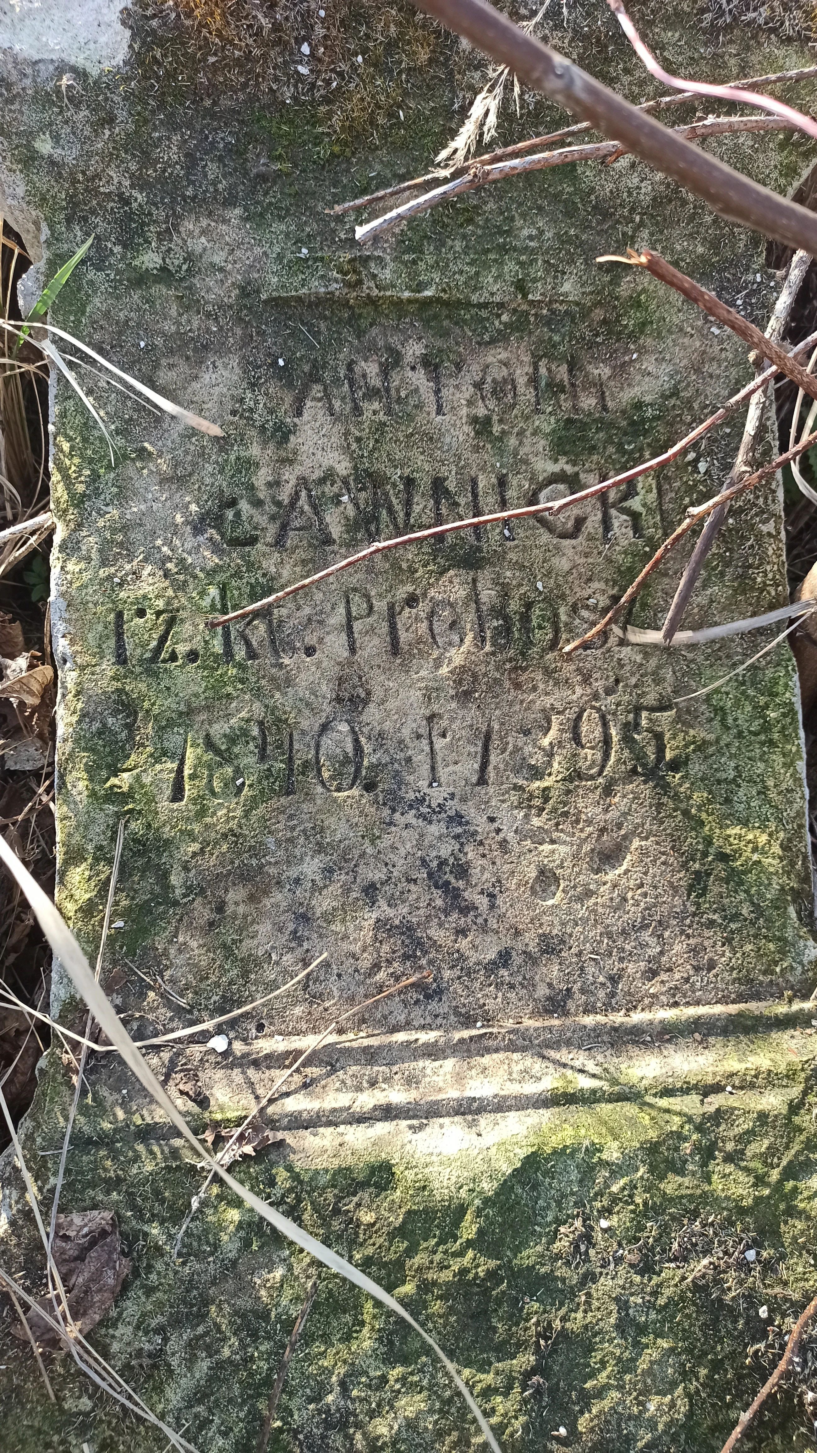 Memorial image