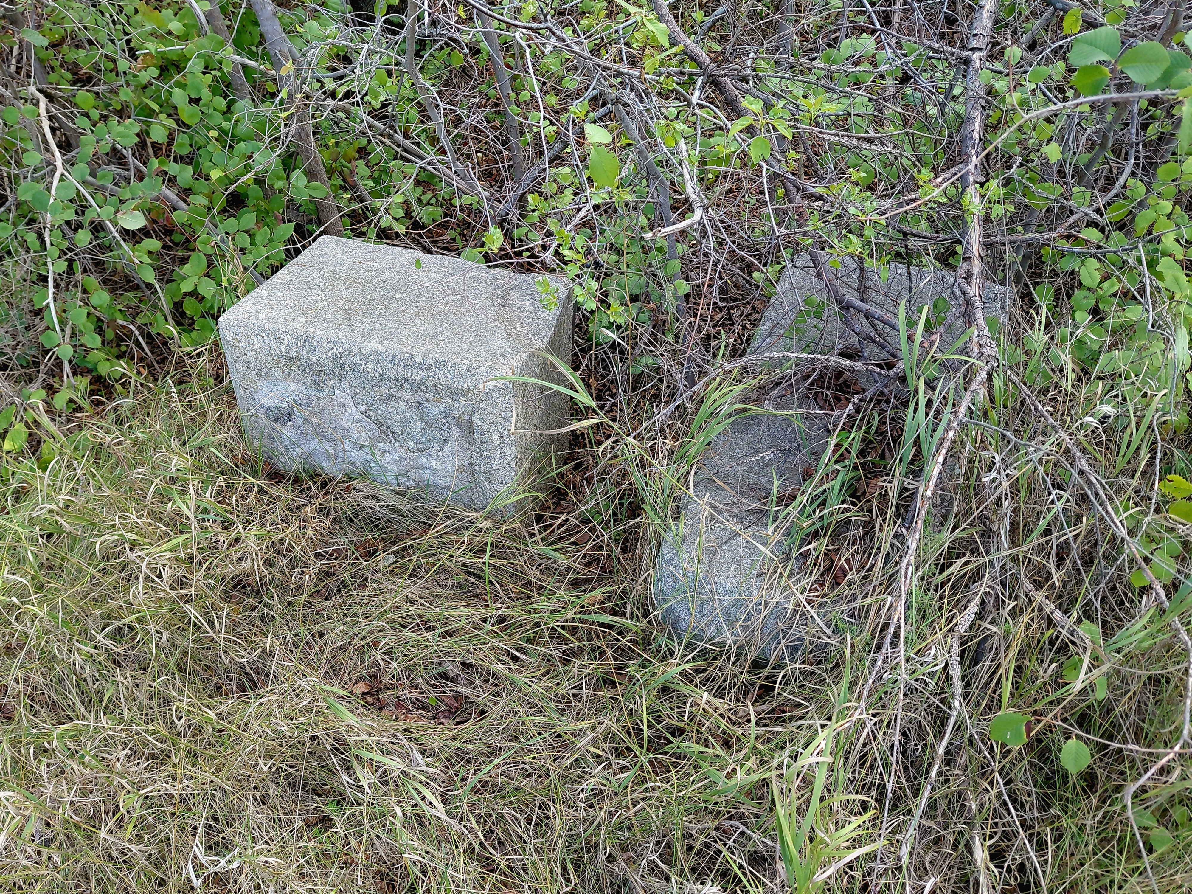 Memorial image