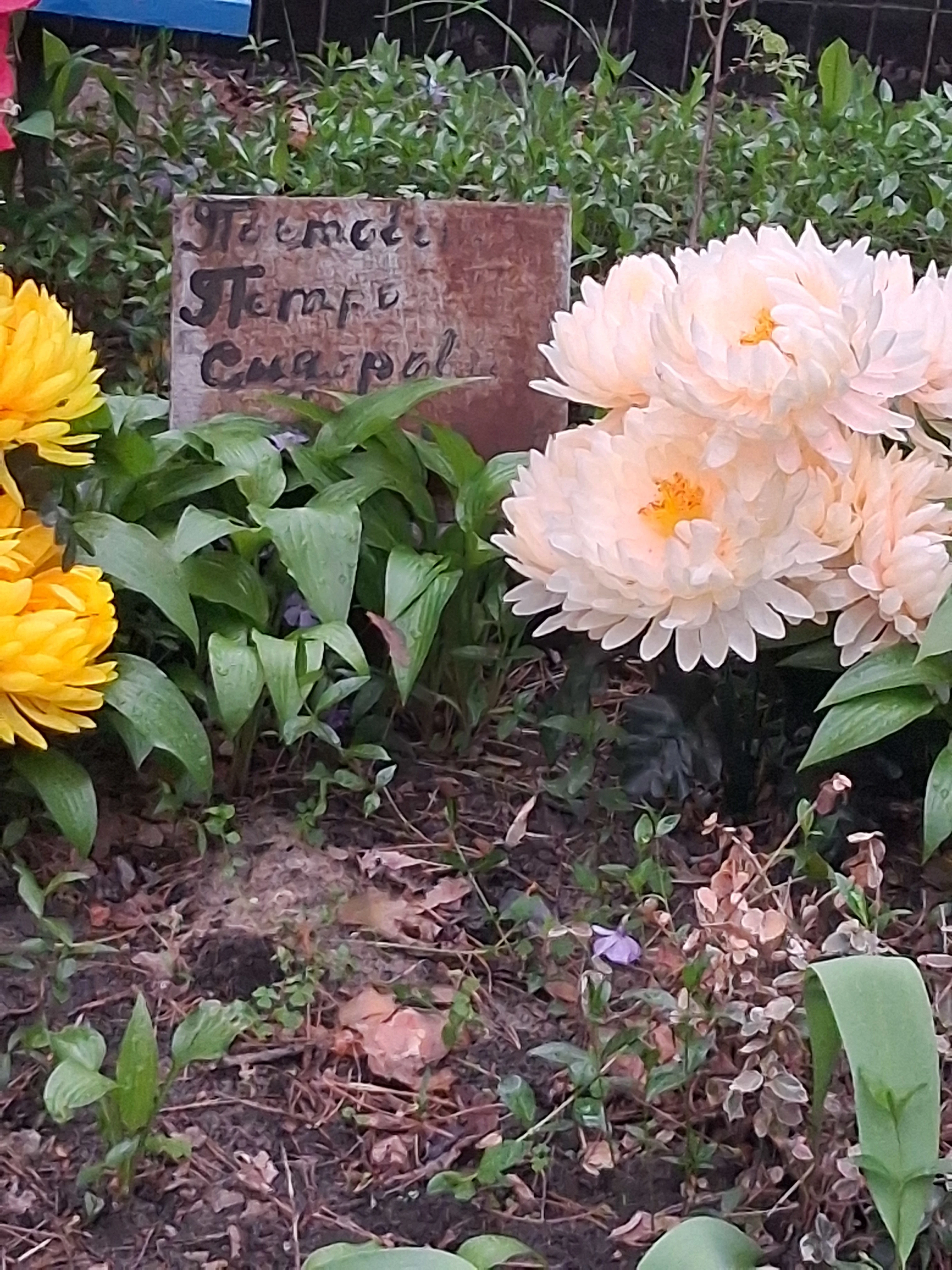 Memorial image