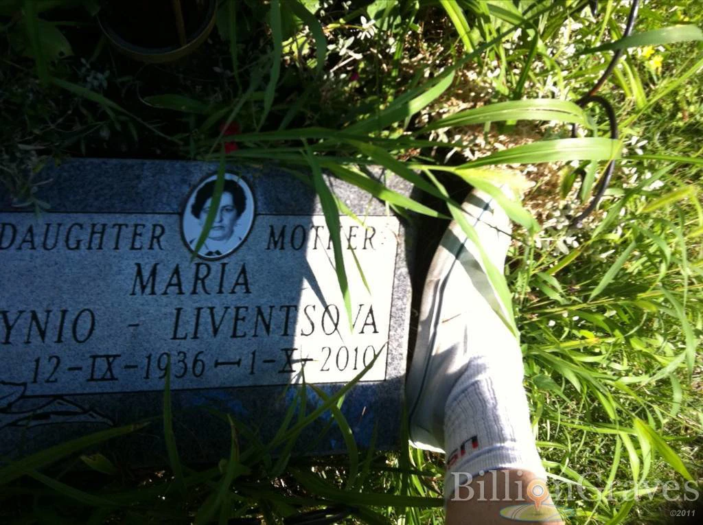 Memorial image