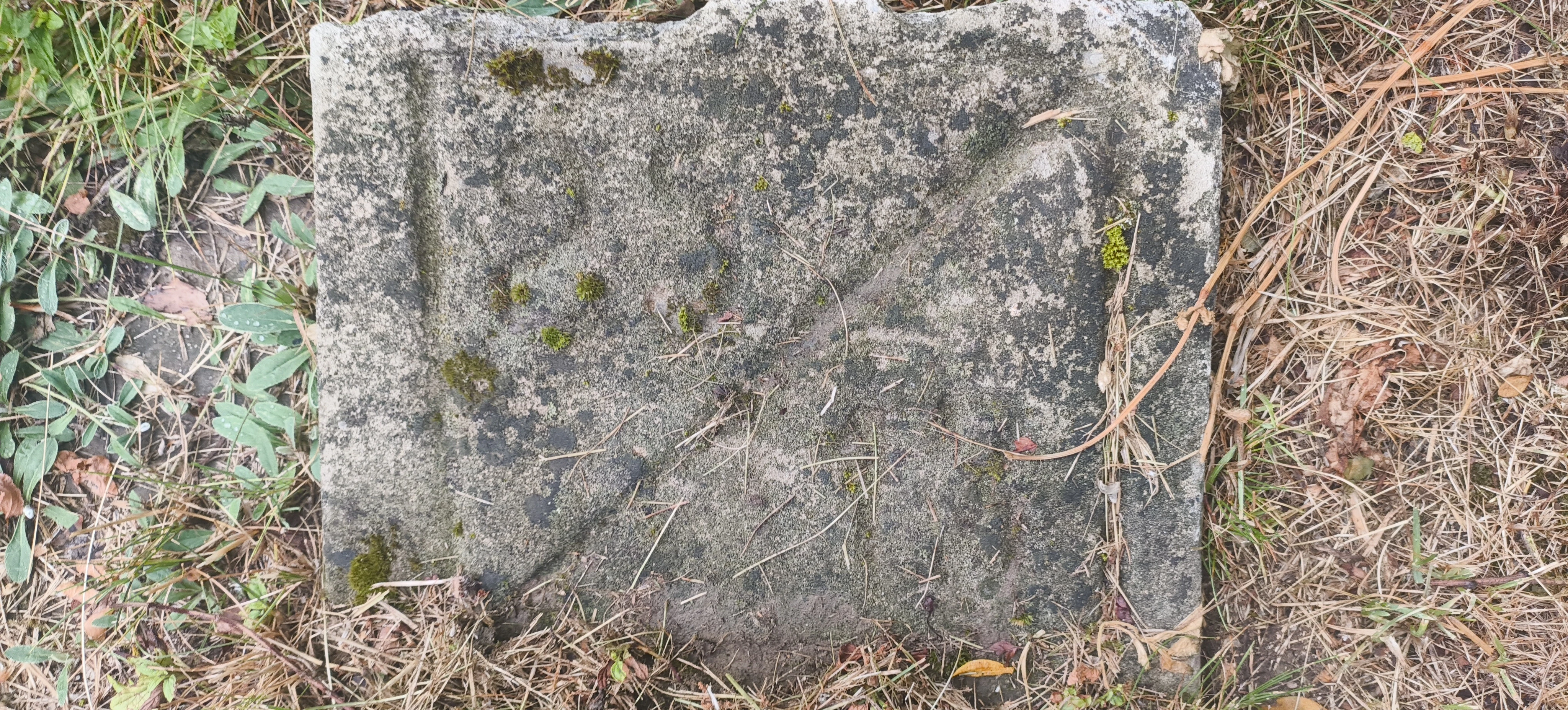 Memorial image