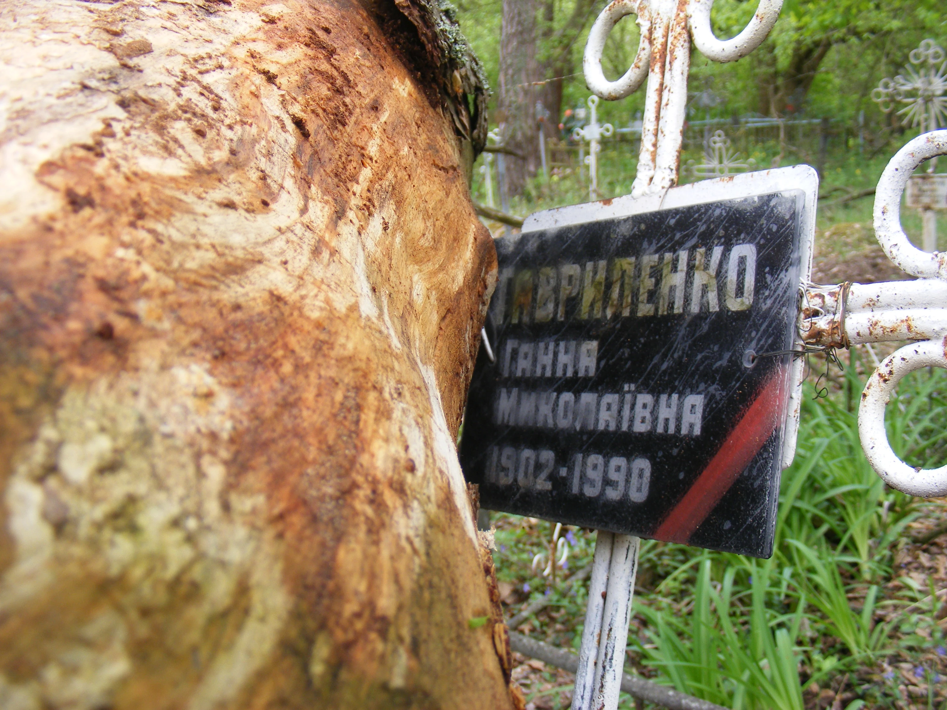 Memorial image