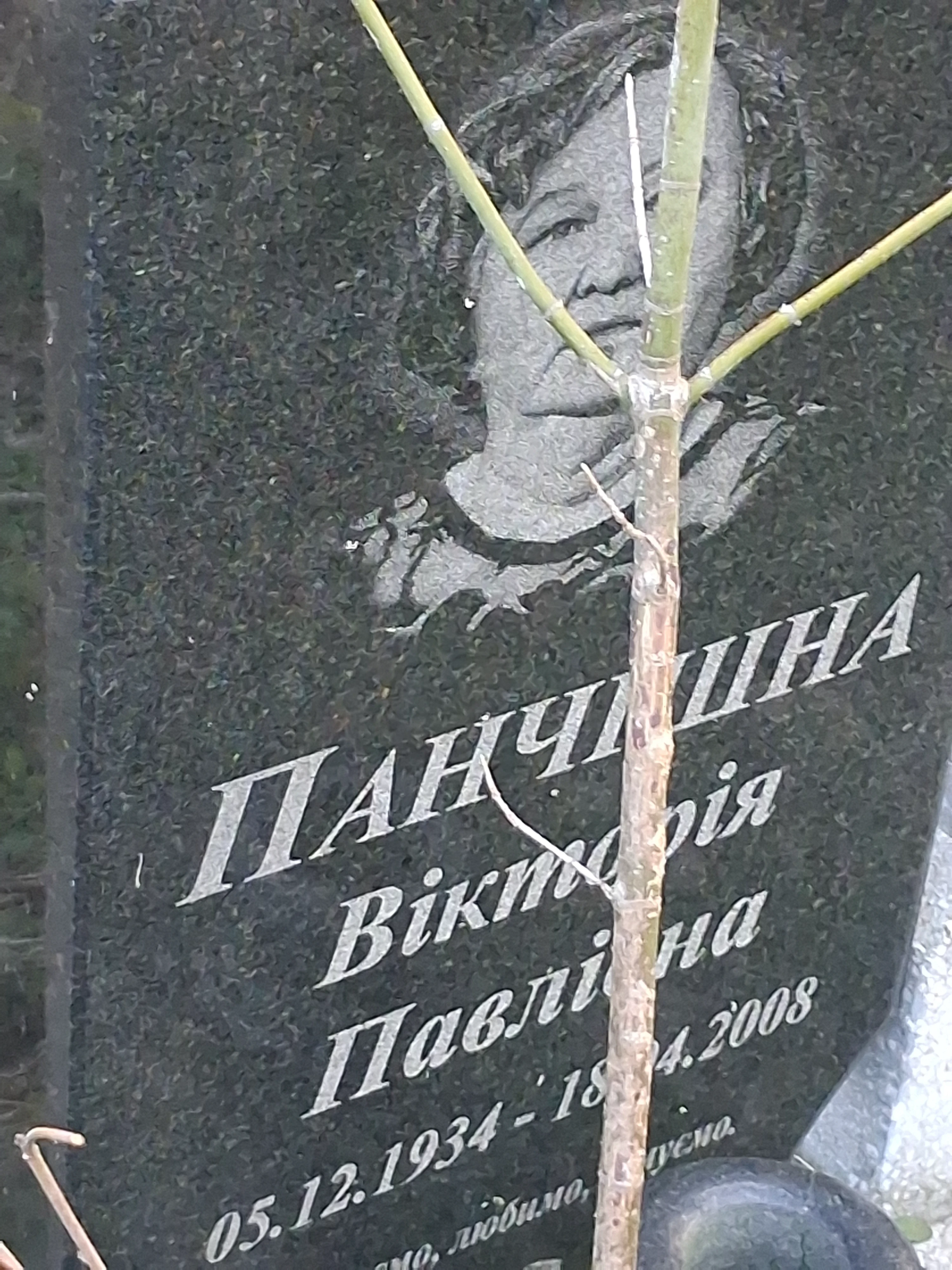 Memorial image