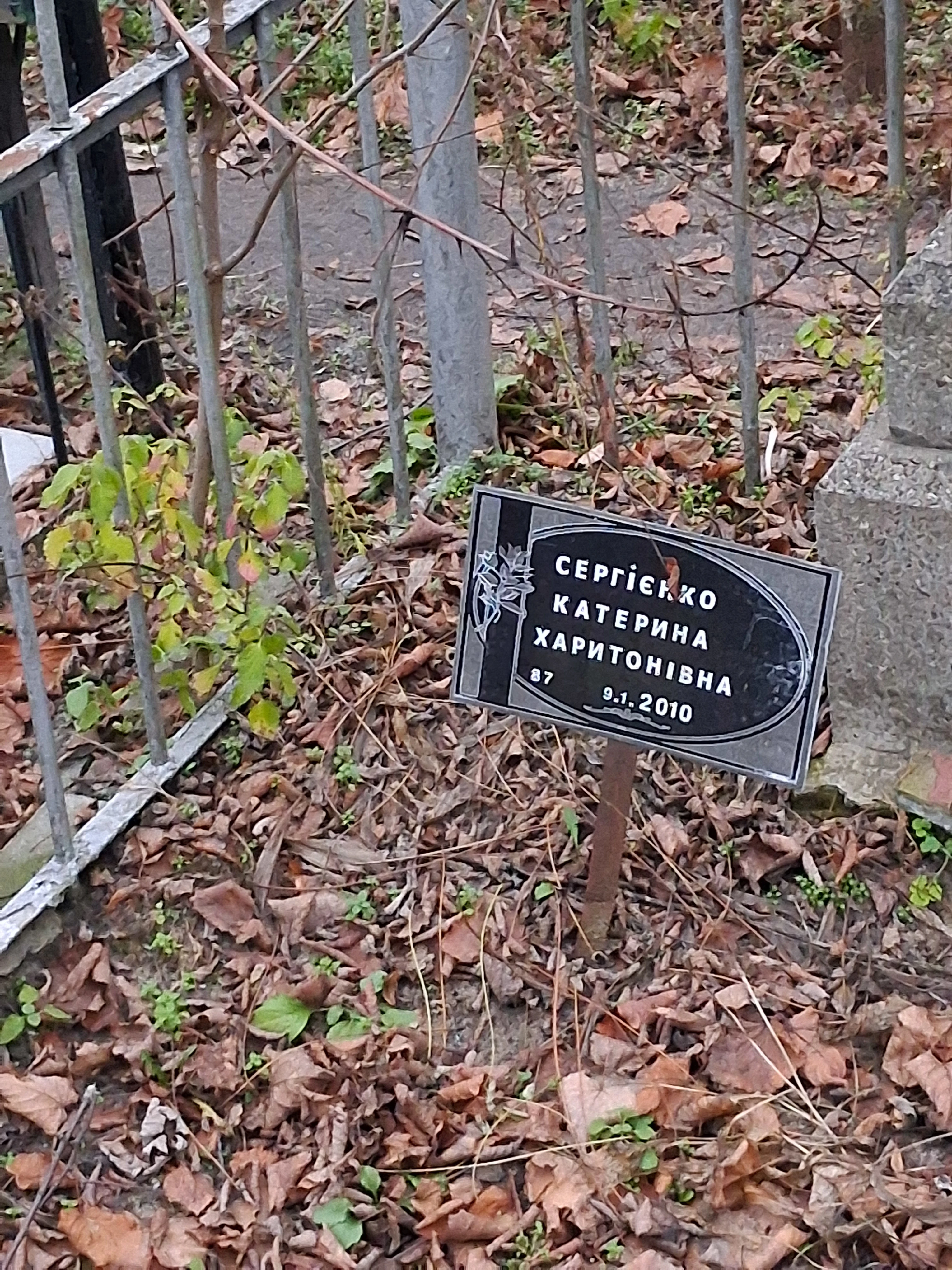 Memorial image