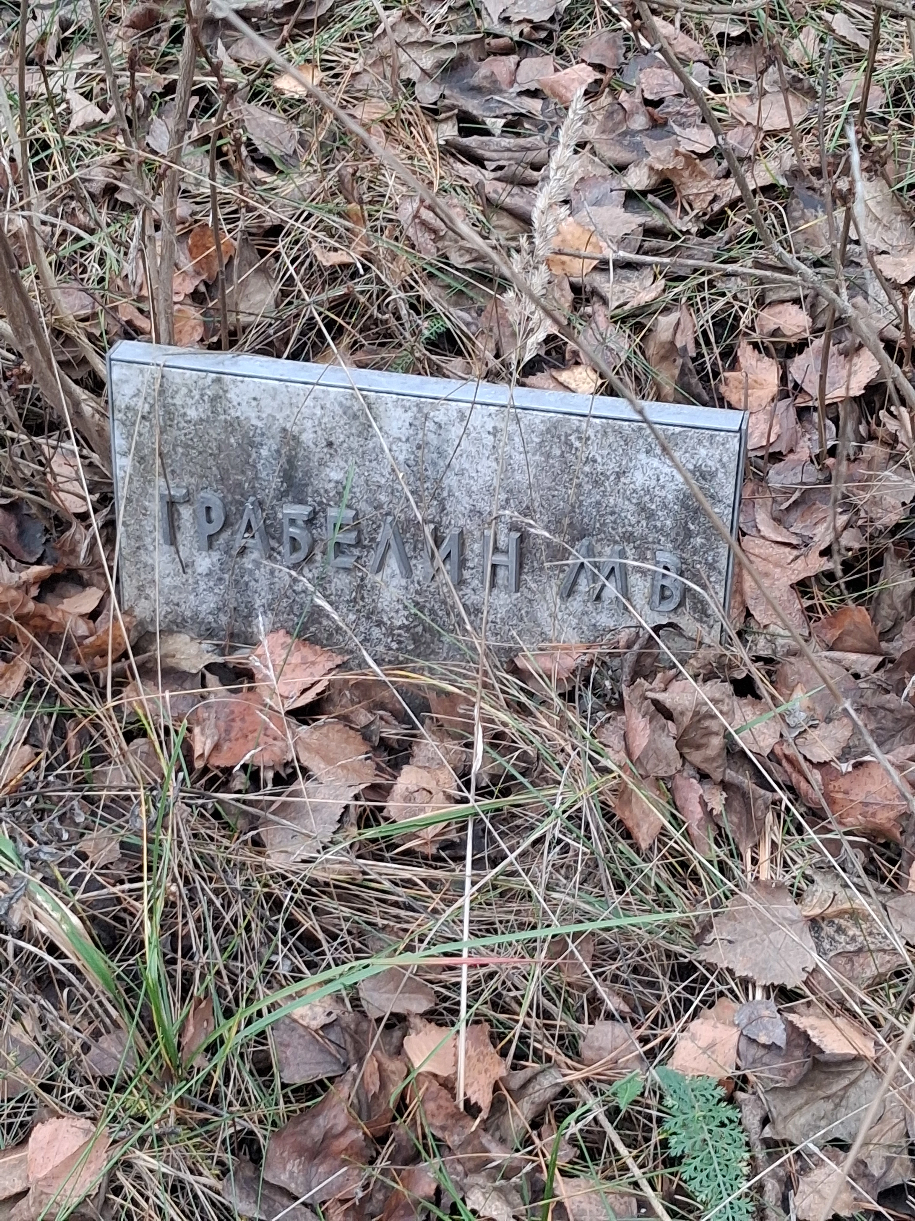 Memorial image