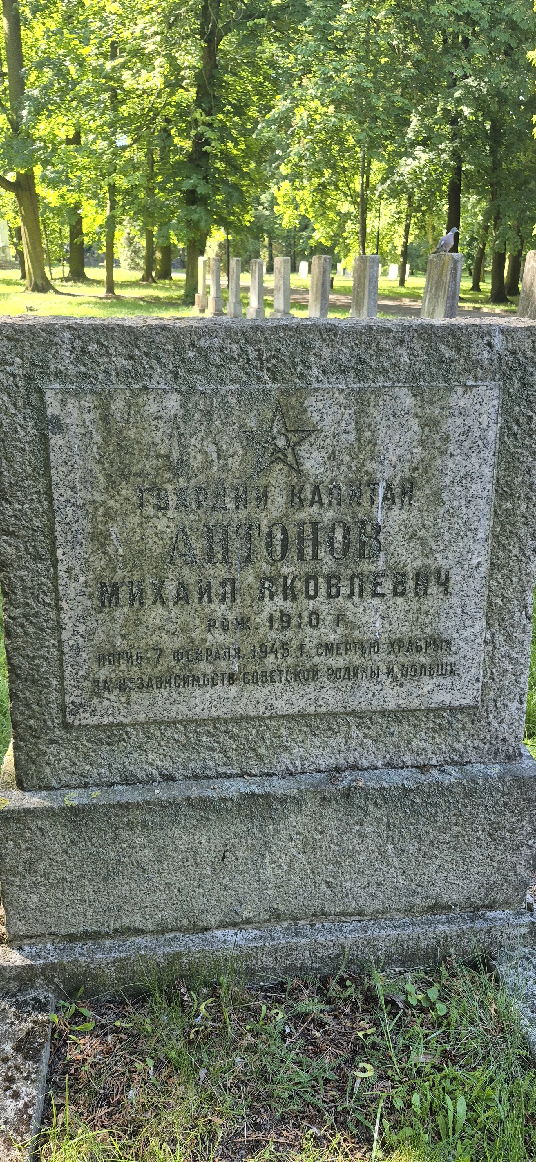 Memorial image