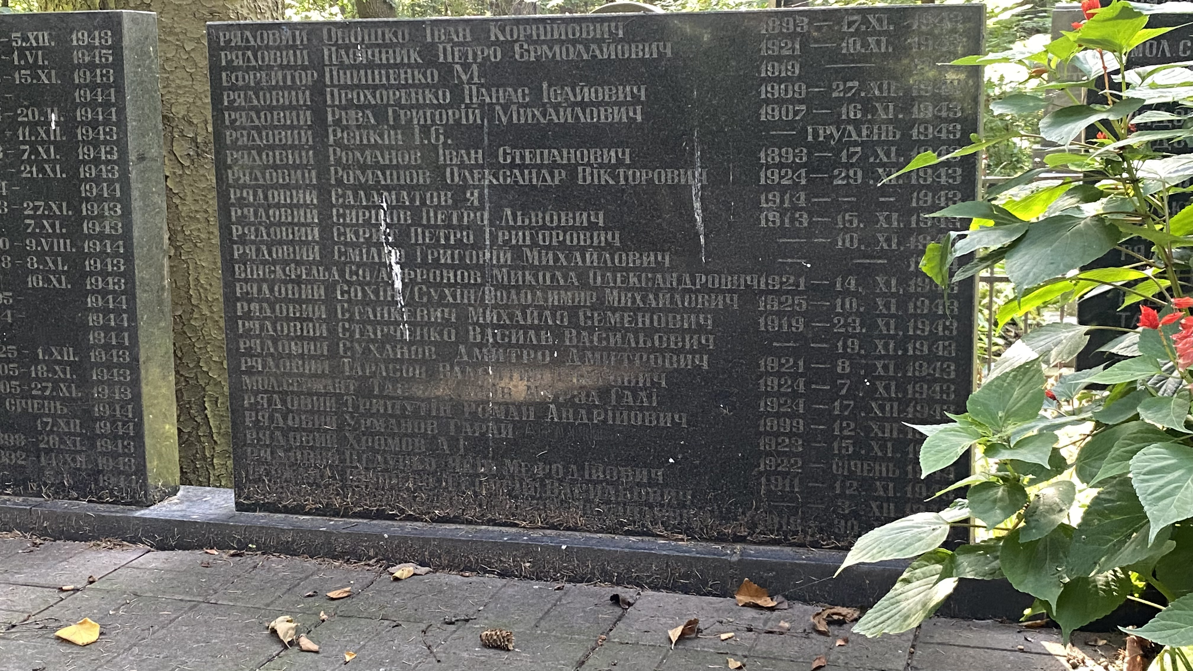 Memorial image