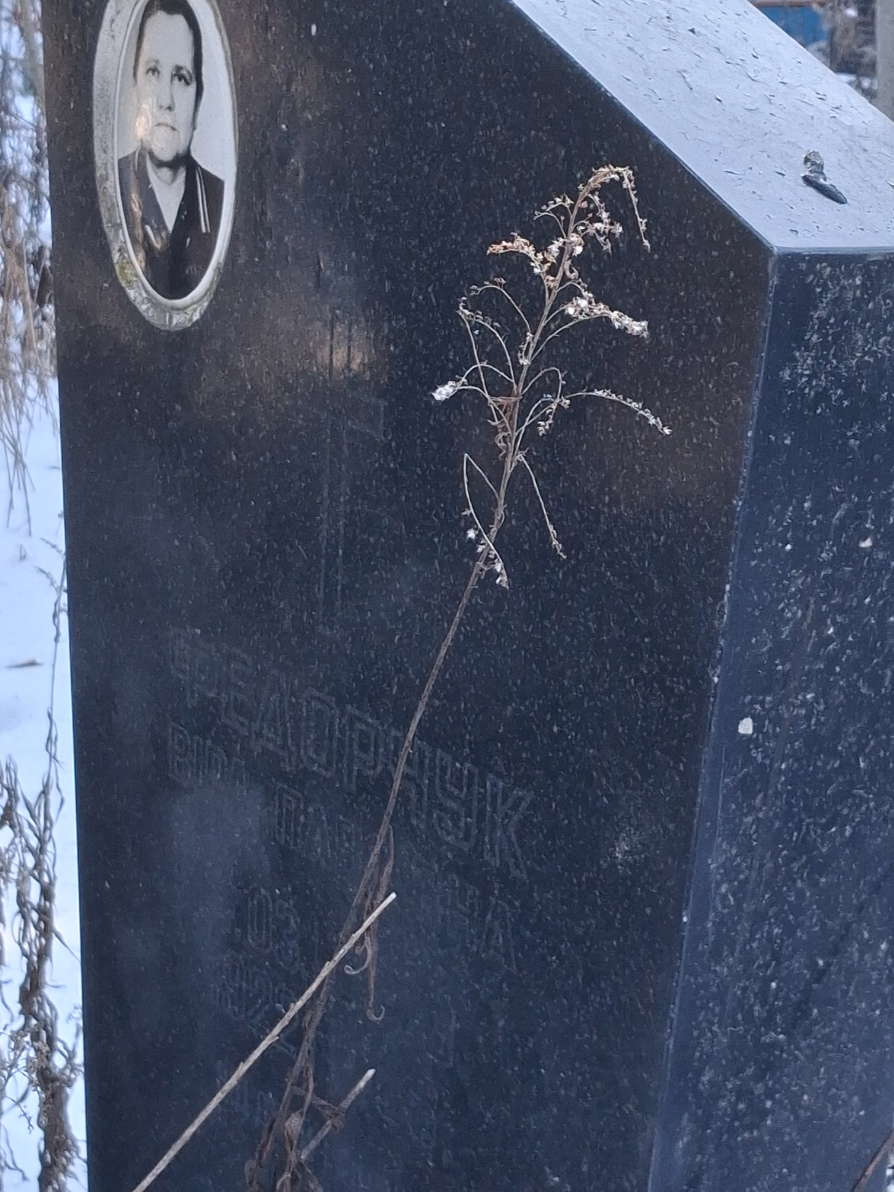 Memorial image