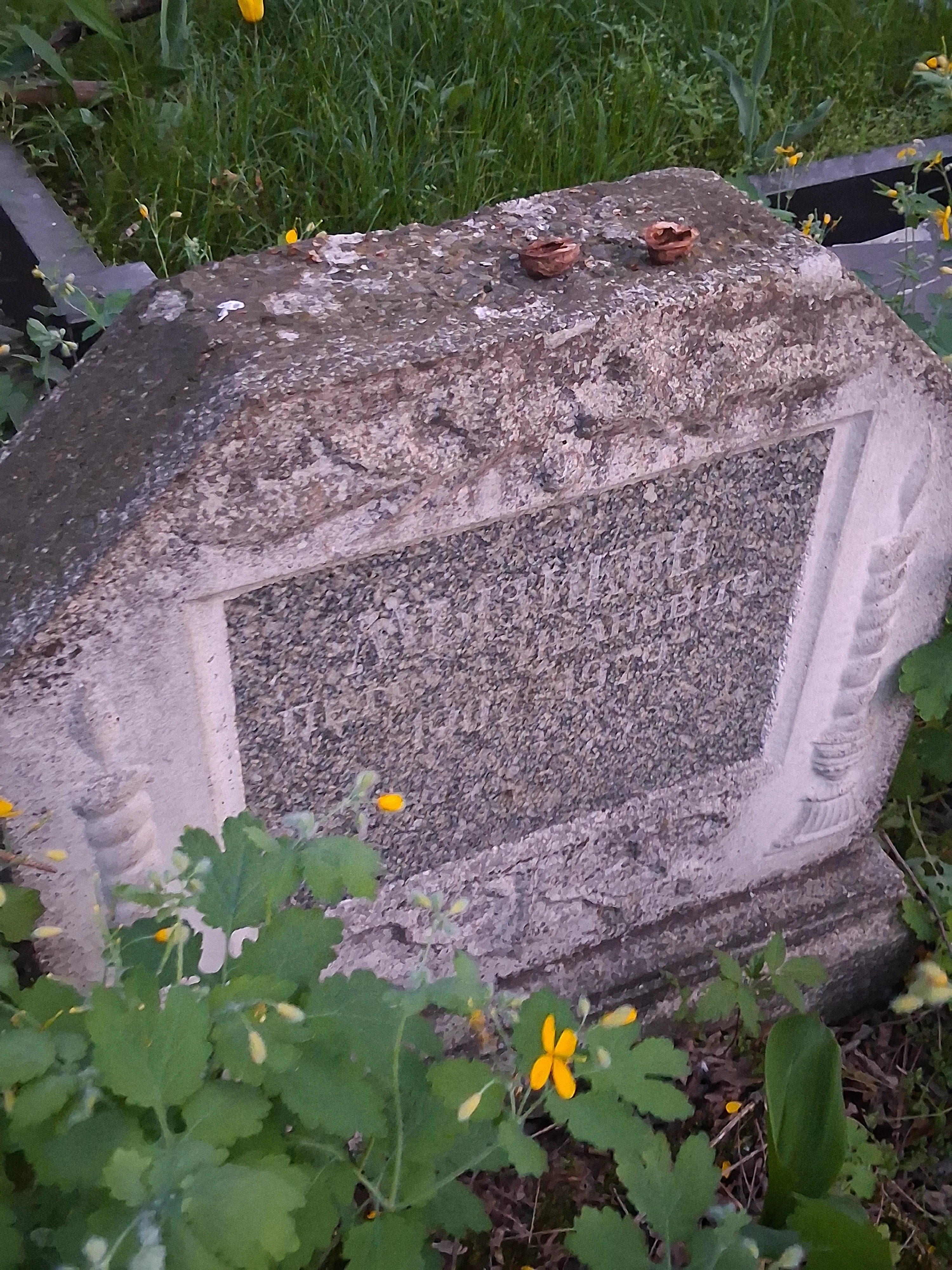 Memorial image