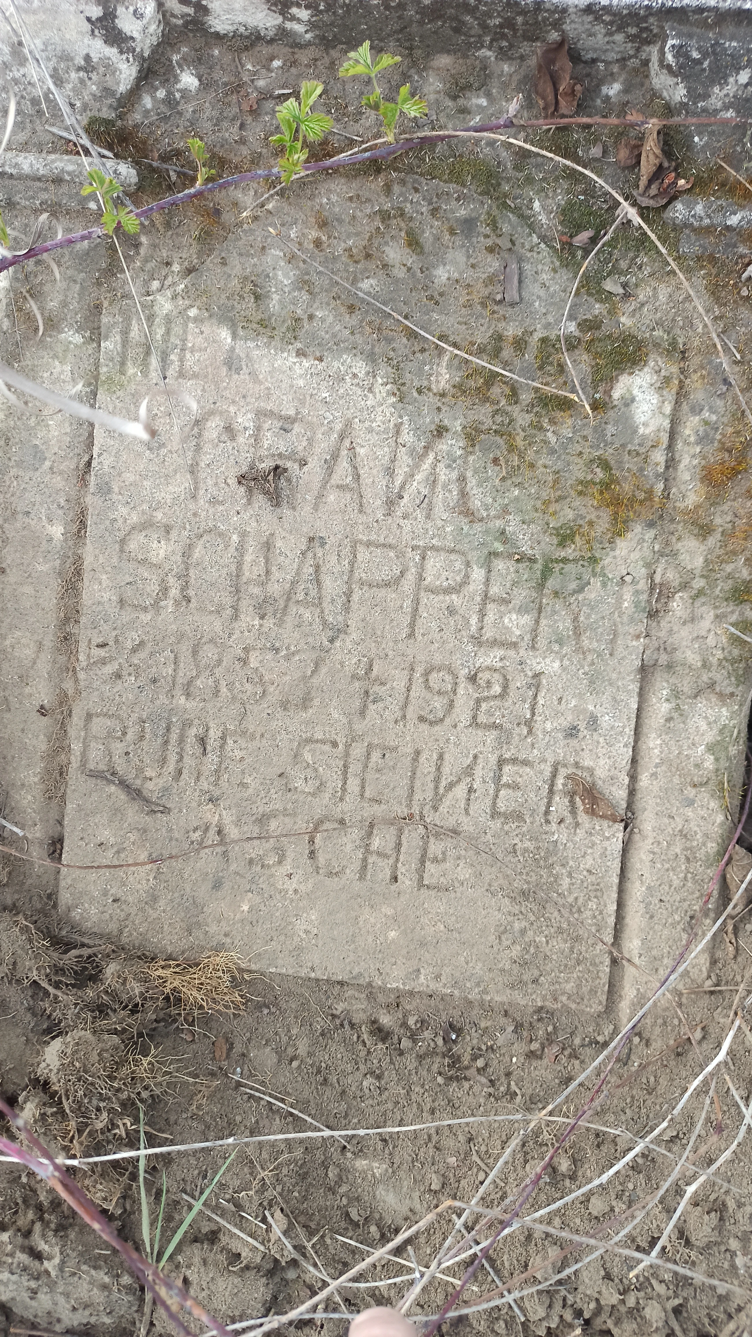 Memorial image