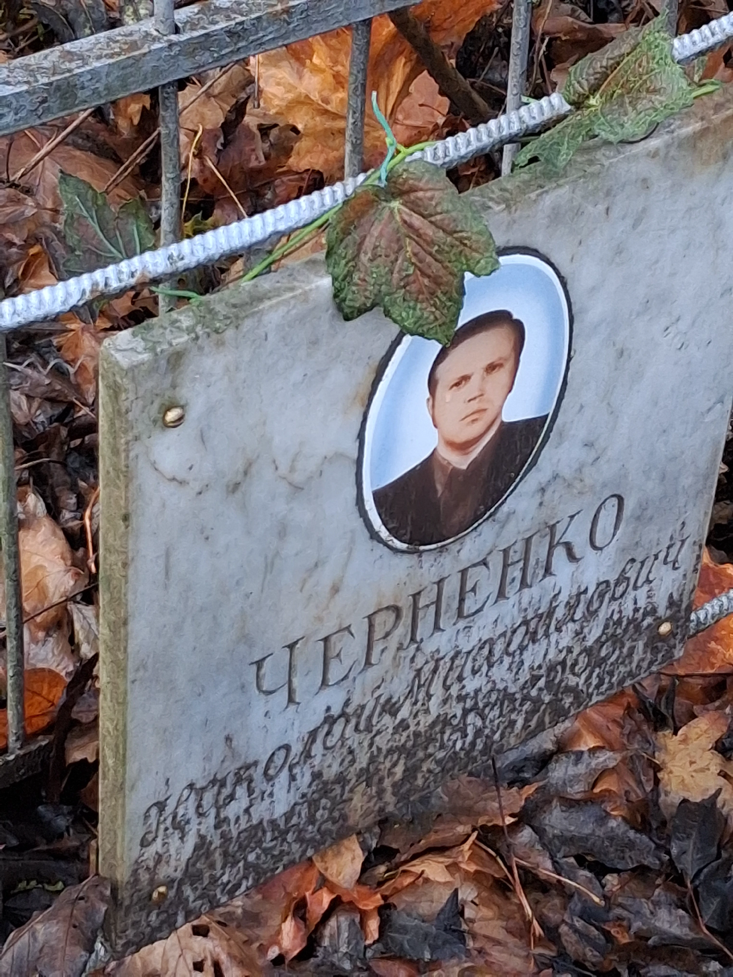 Memorial image