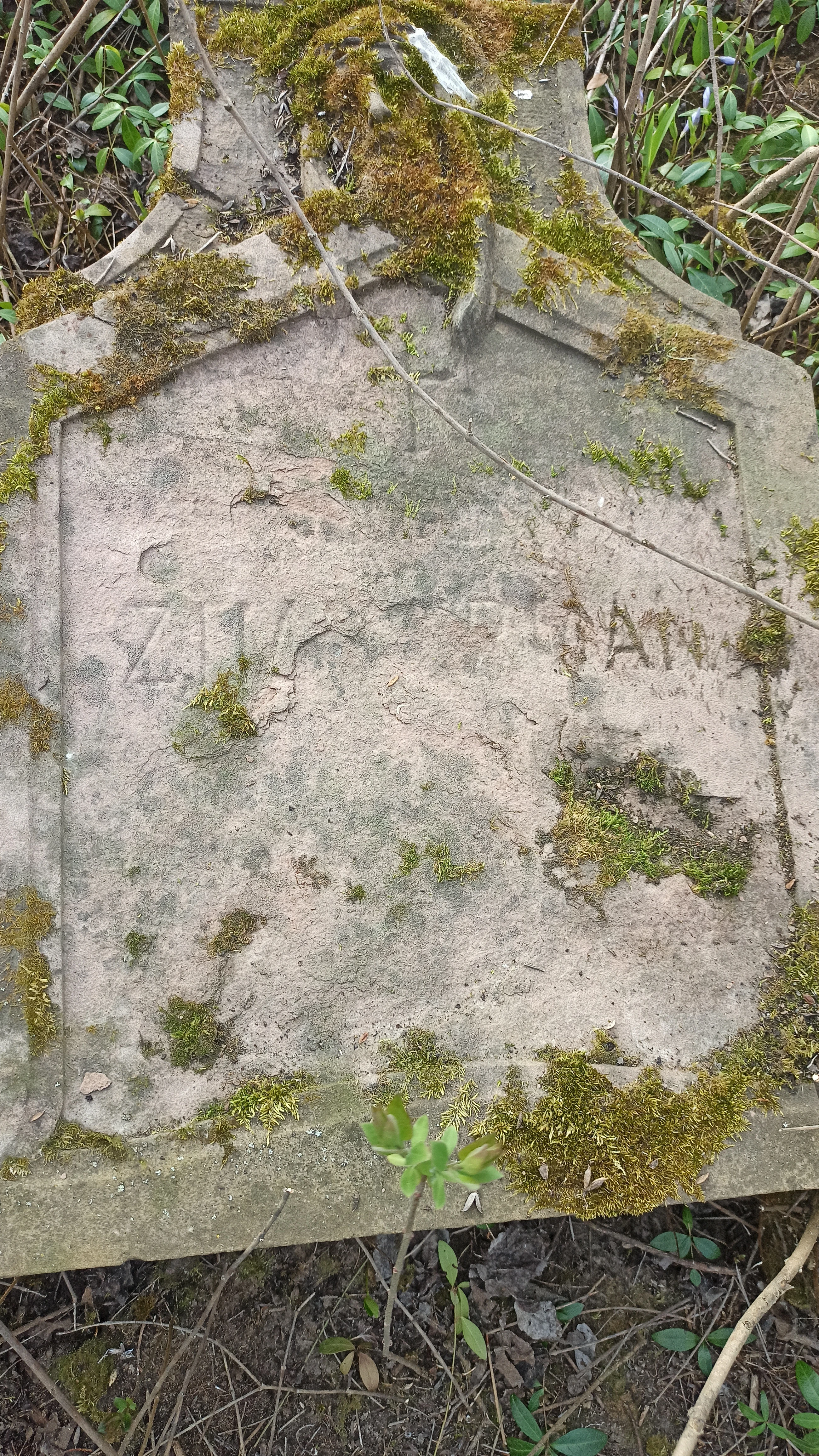 Memorial image