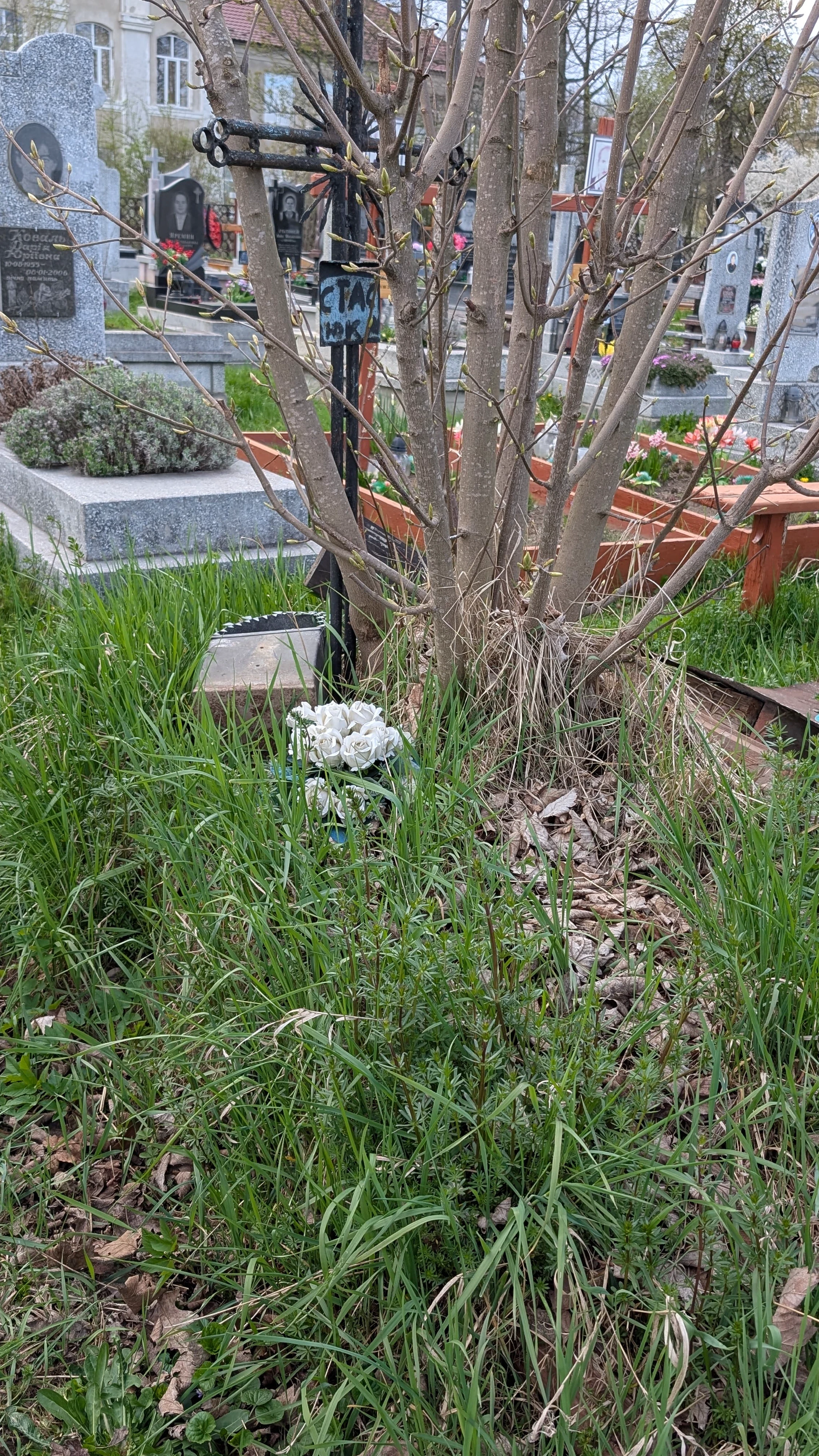 Memorial image