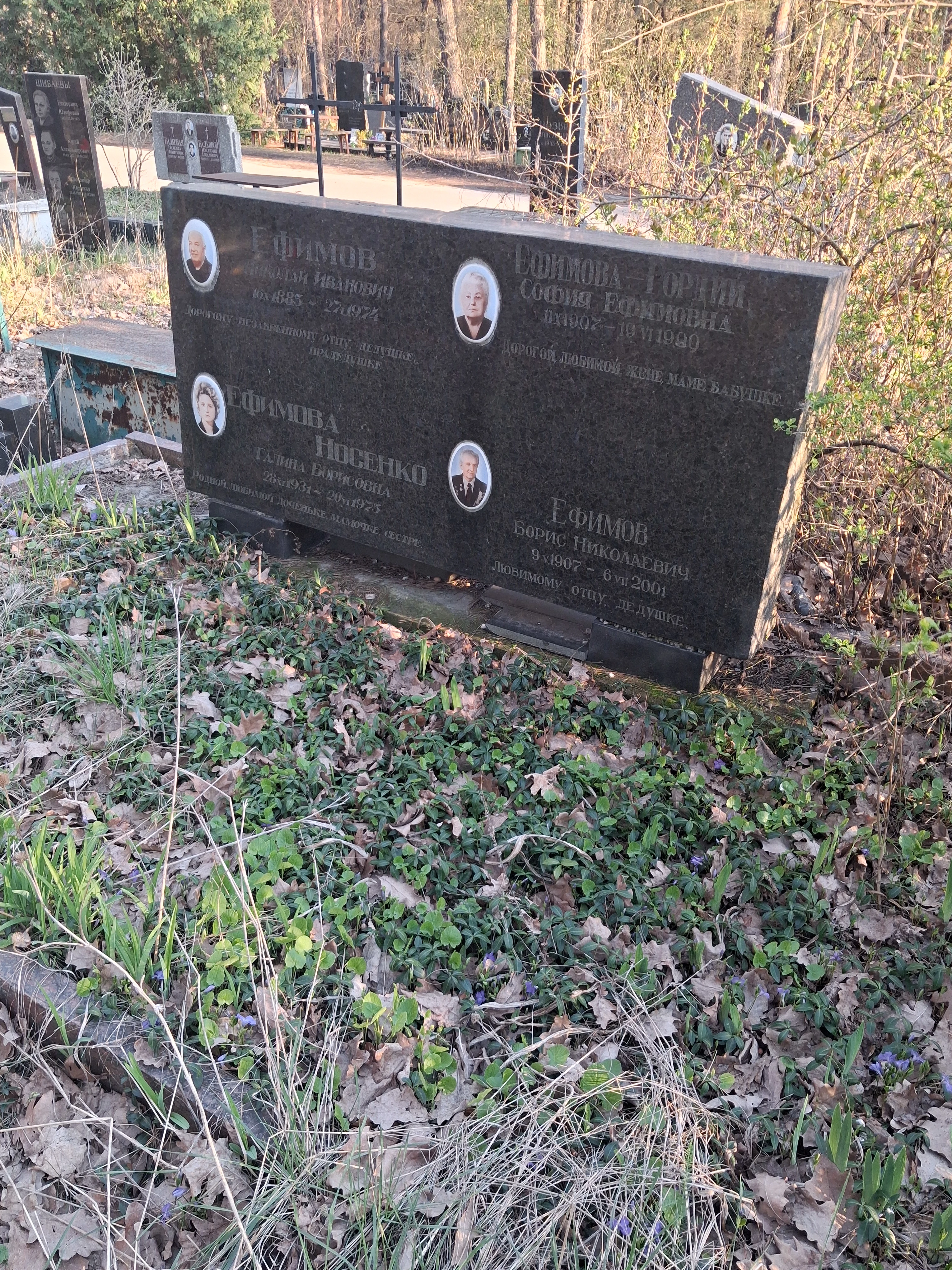 Memorial image