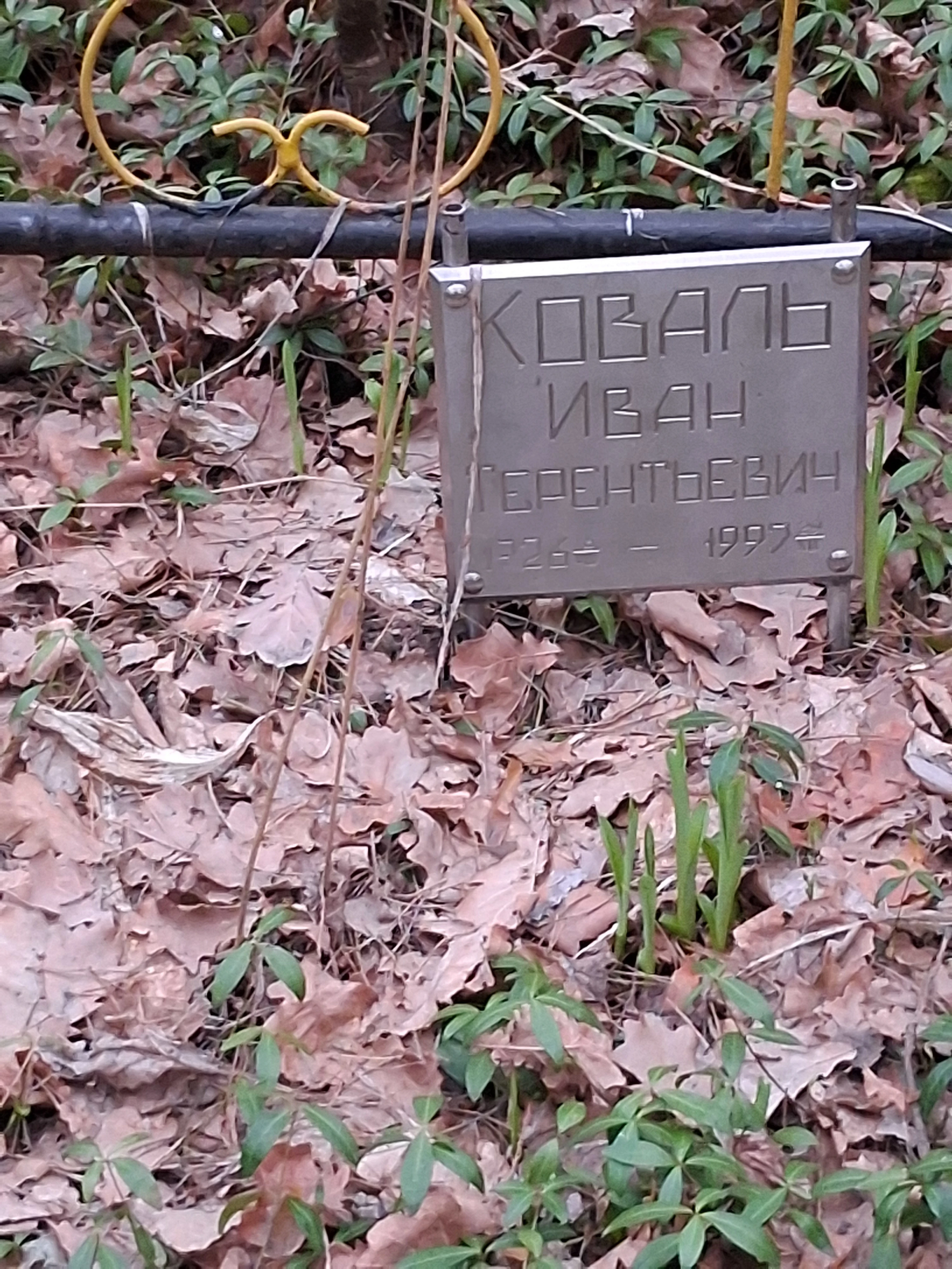 Memorial image